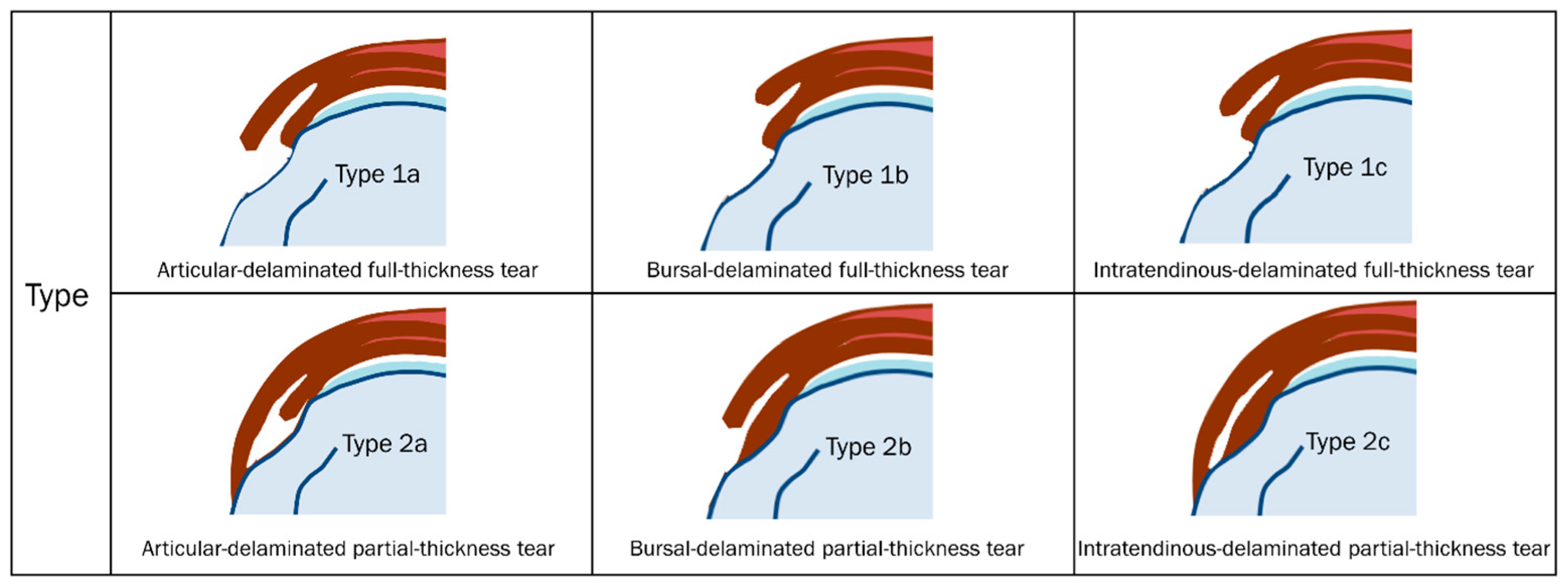 Diagnostics 13 01133 g006