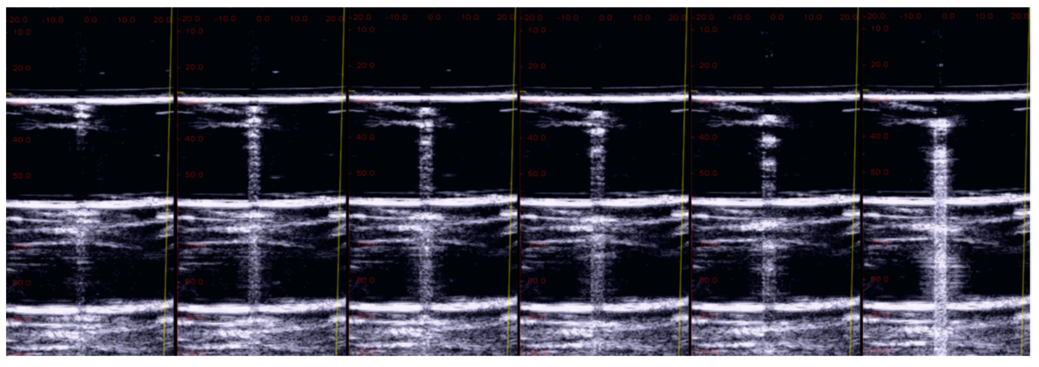 Diagnostics 13 01139 g003