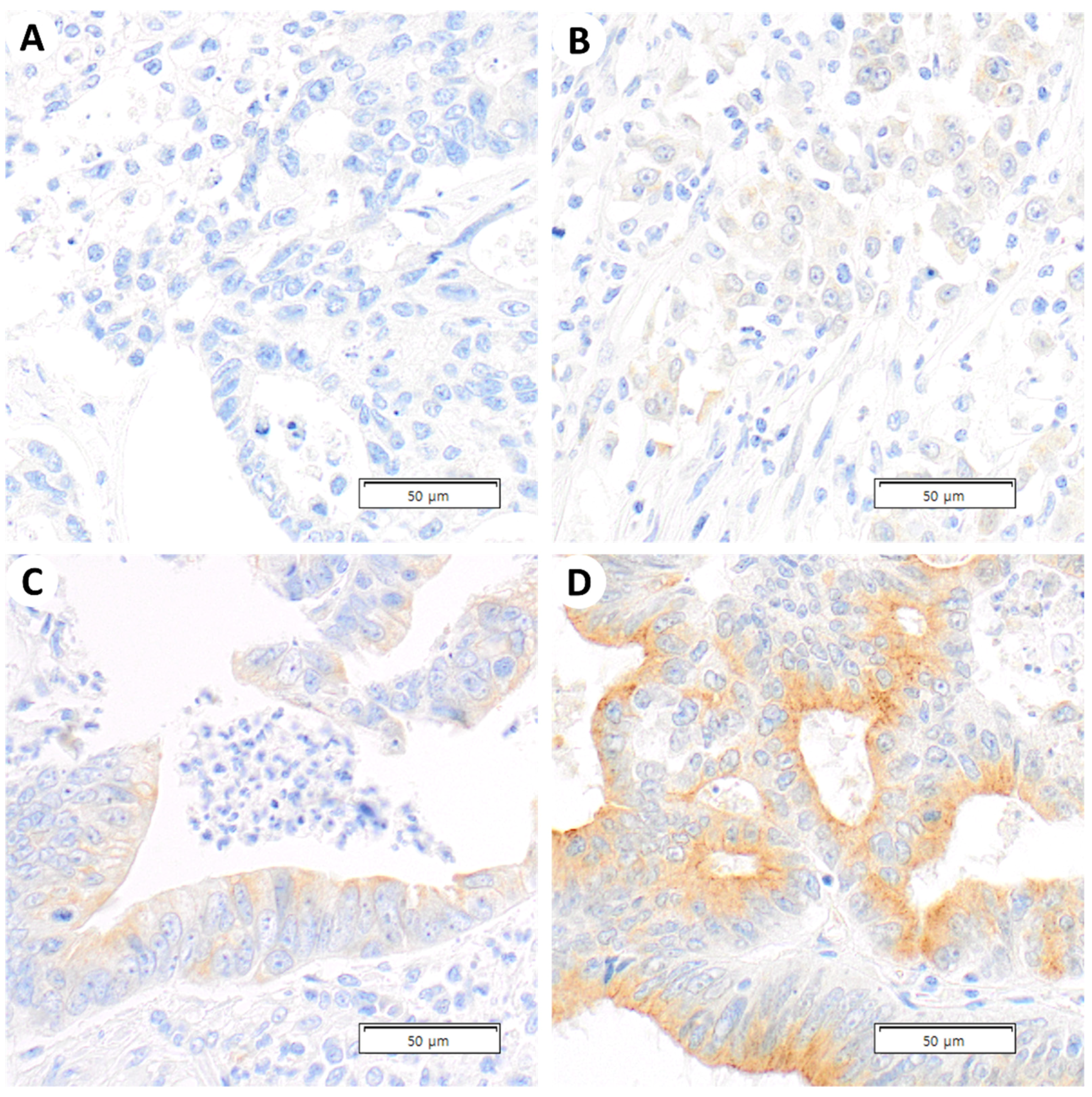 Diagnostics 13 01140 g001