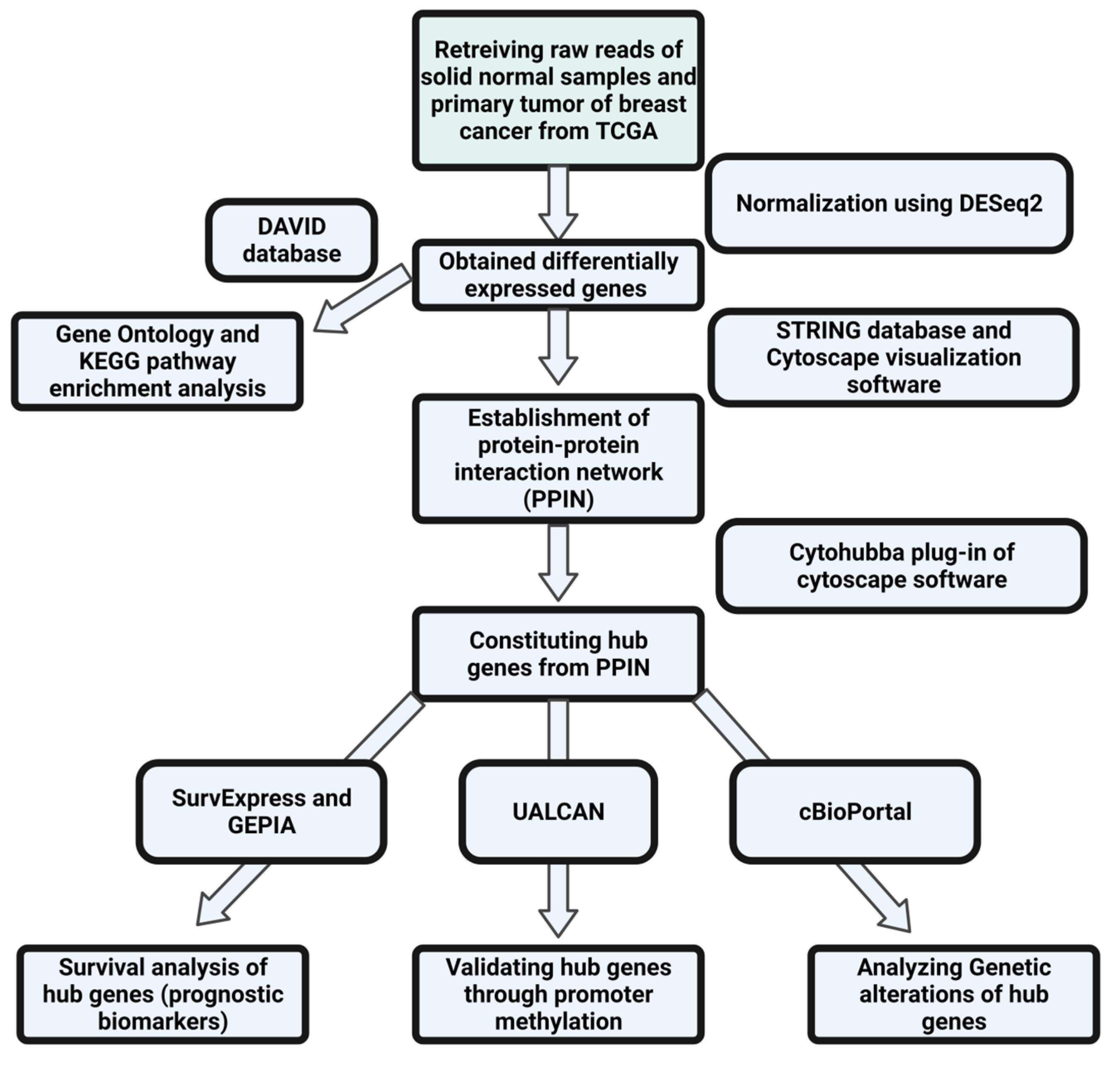 Diagnostics 13 01142 g001