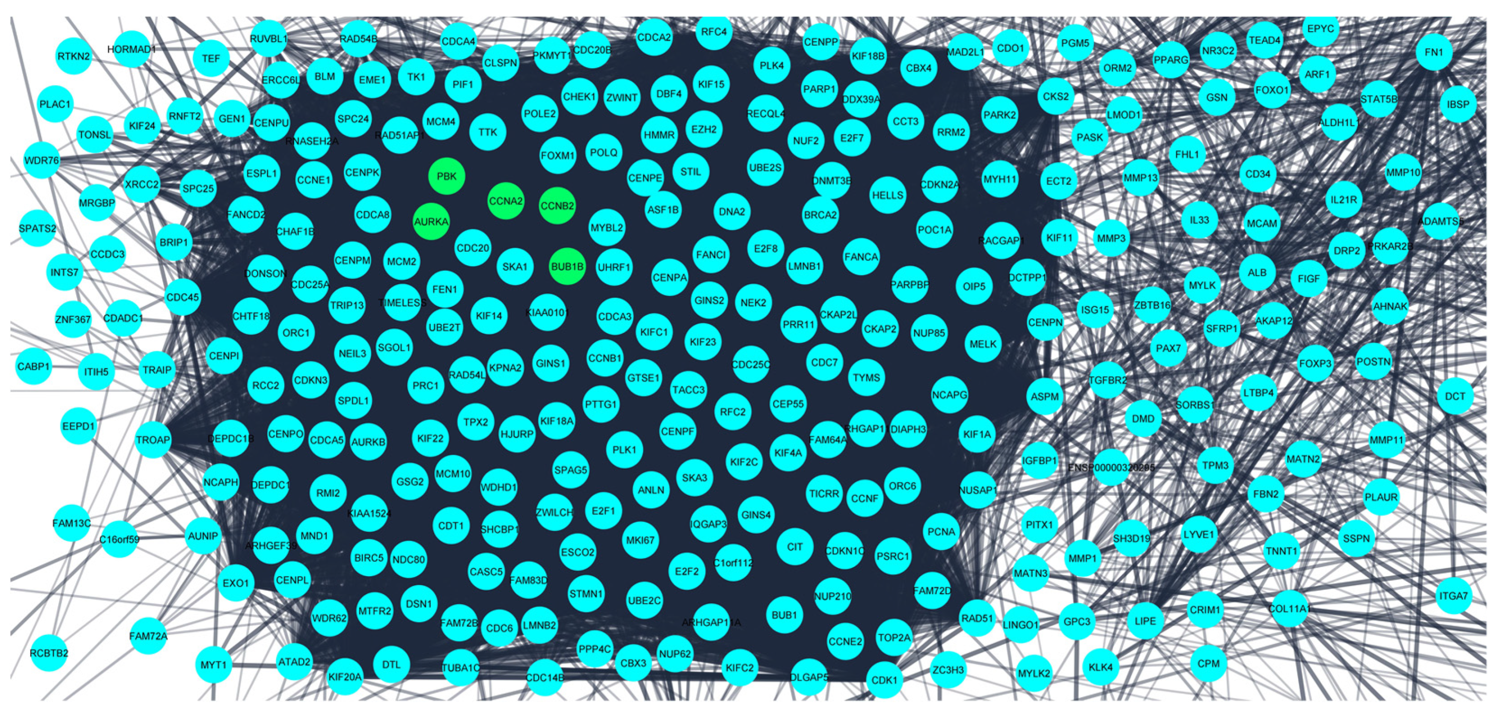Diagnostics 13 01142 g003