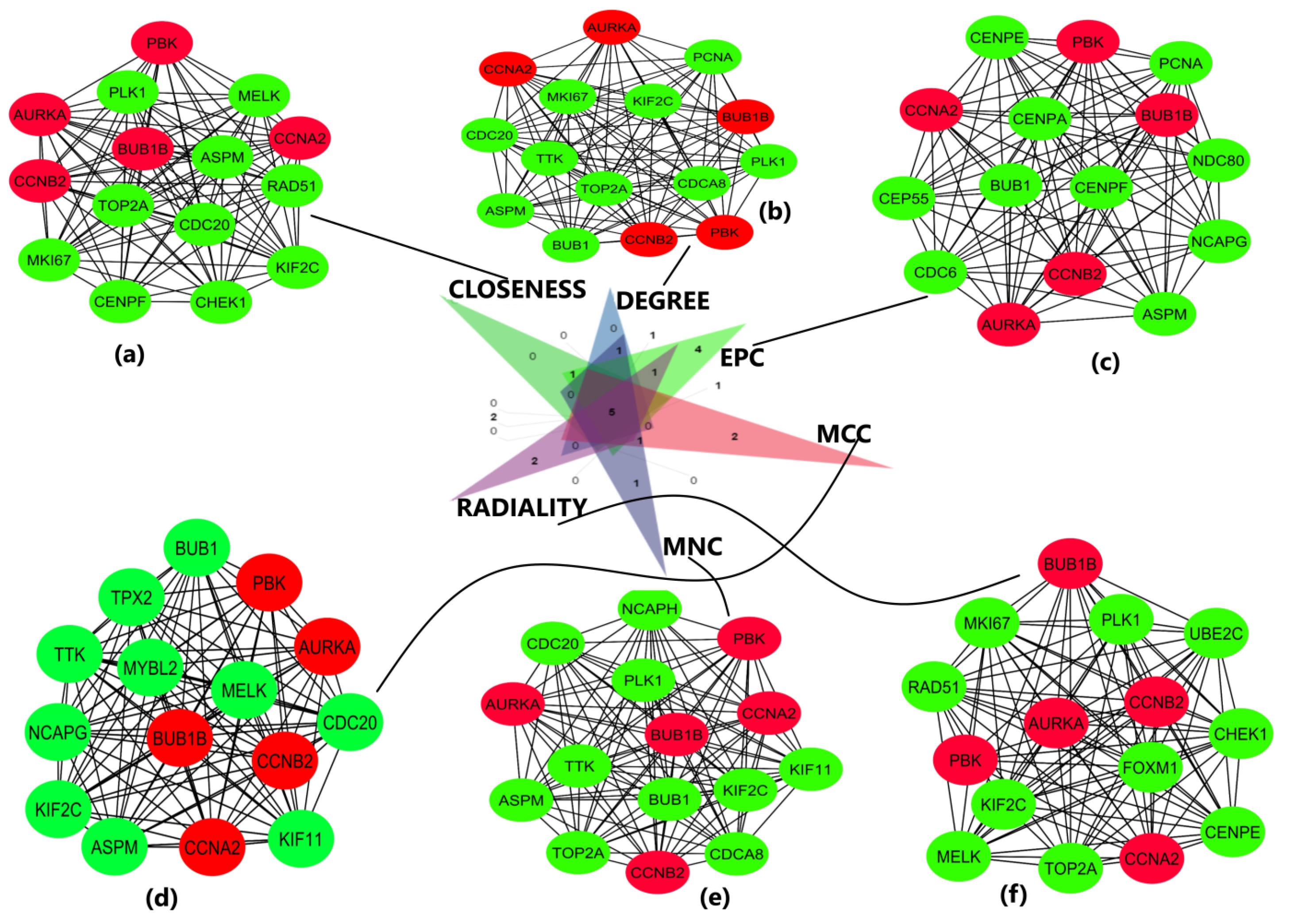 Diagnostics 13 01142 g004