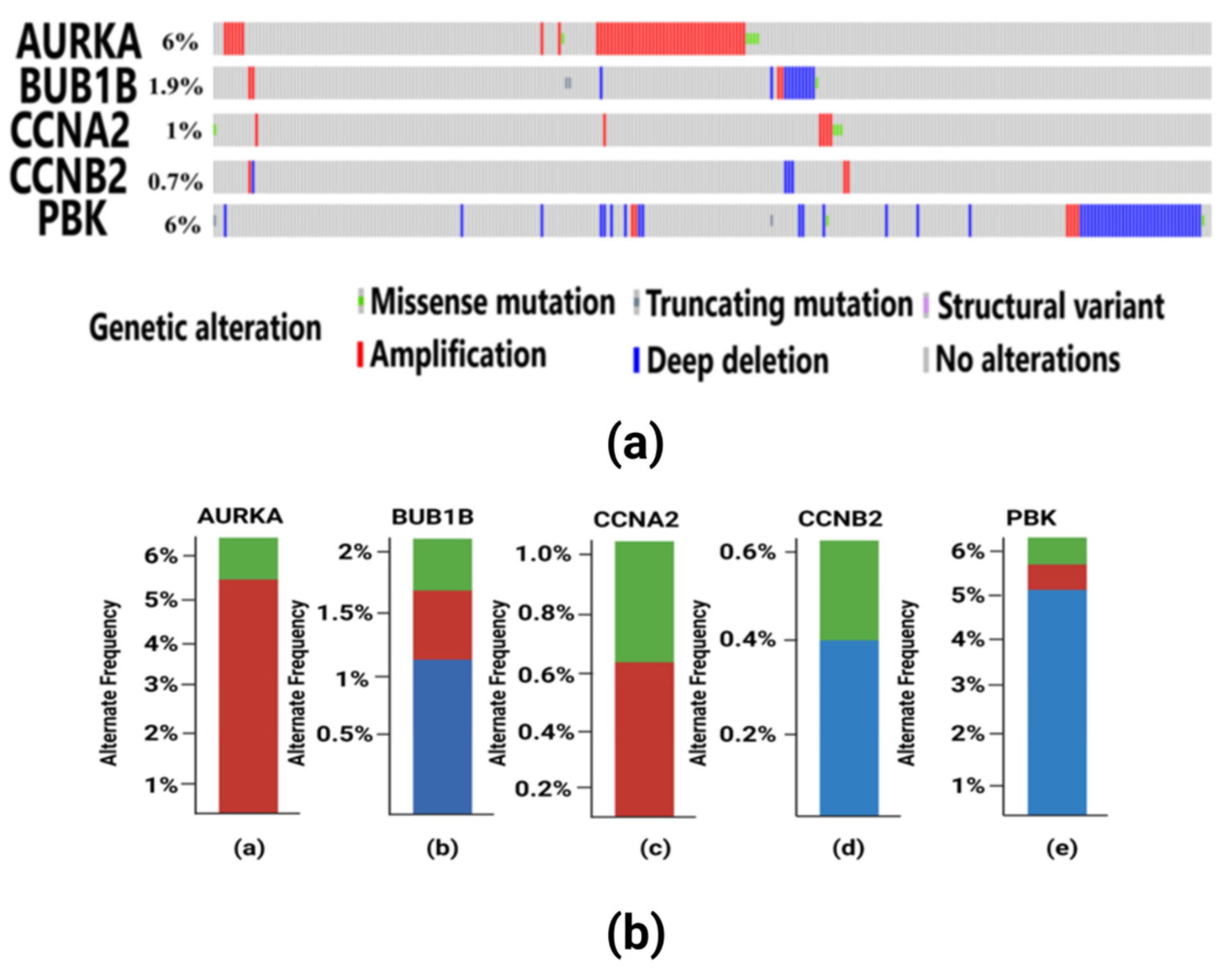 Diagnostics 13 01142 g008