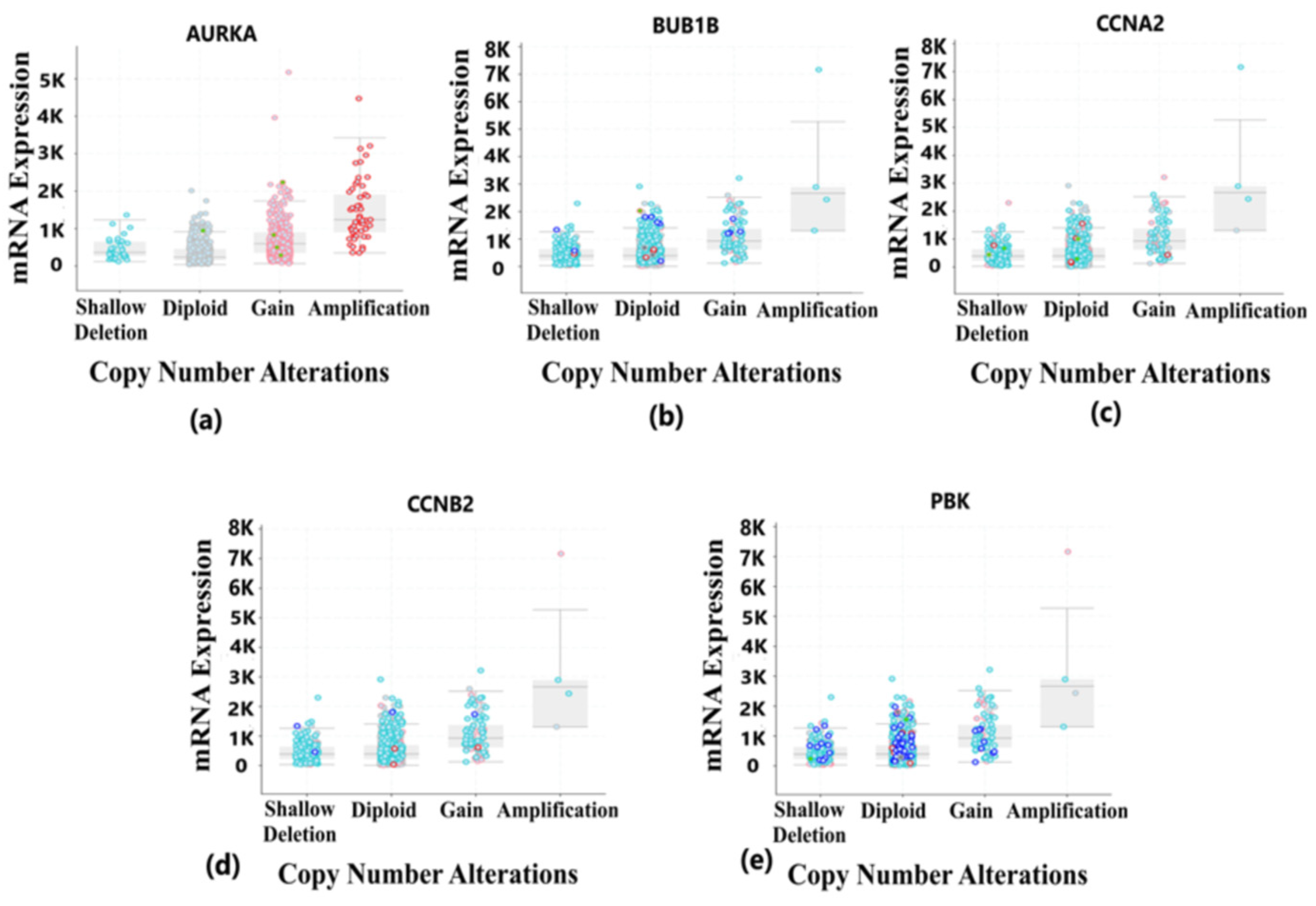 Diagnostics 13 01142 g009
