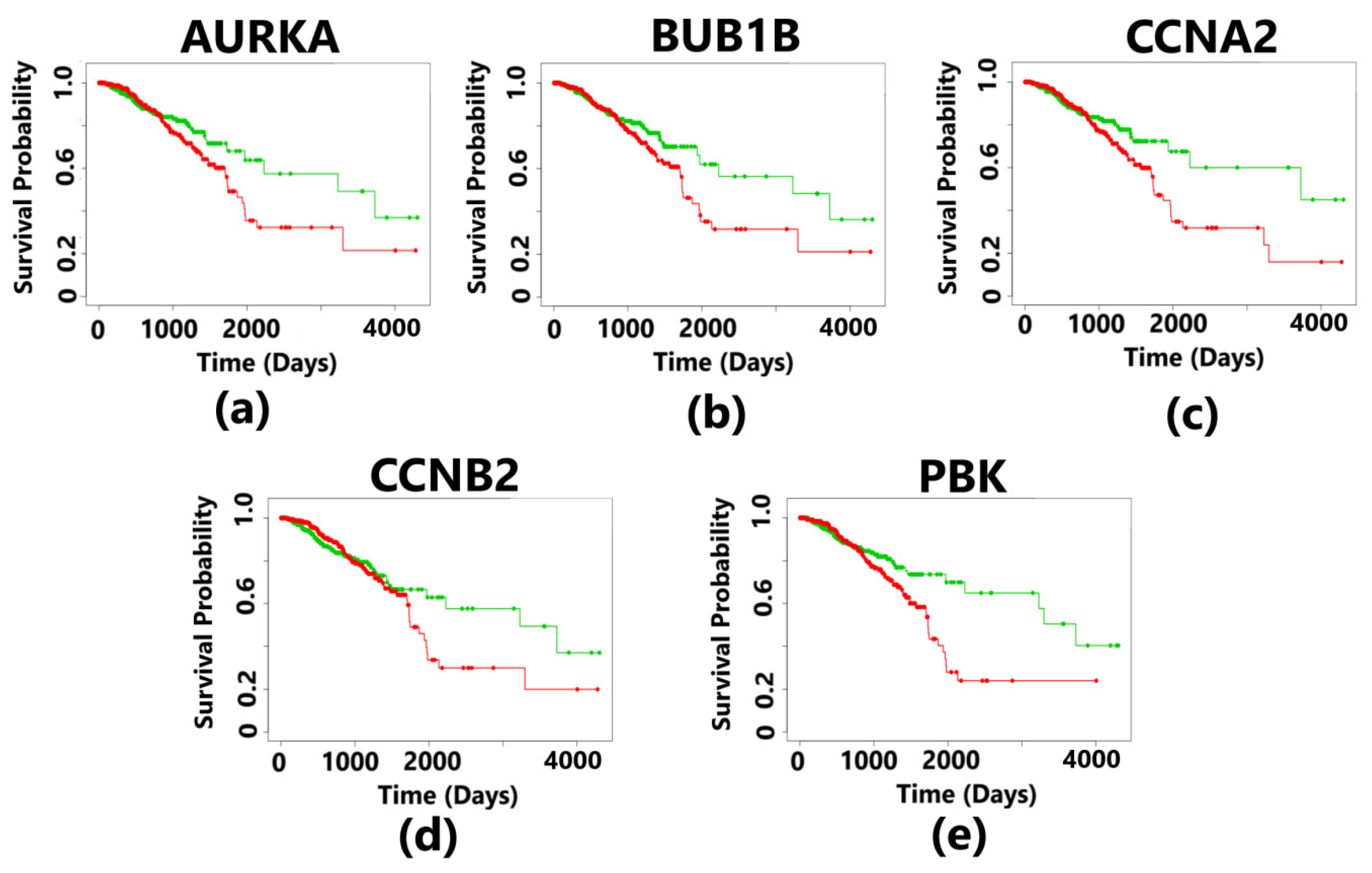 Diagnostics 13 01142 g010