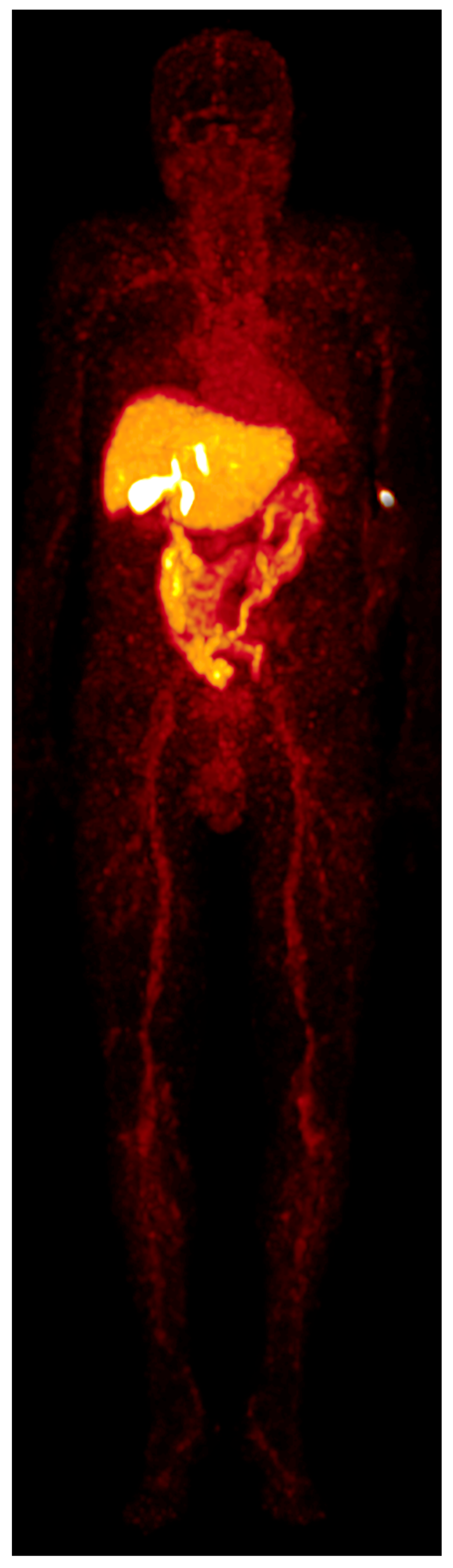 Diagnostics 13 01144 g005