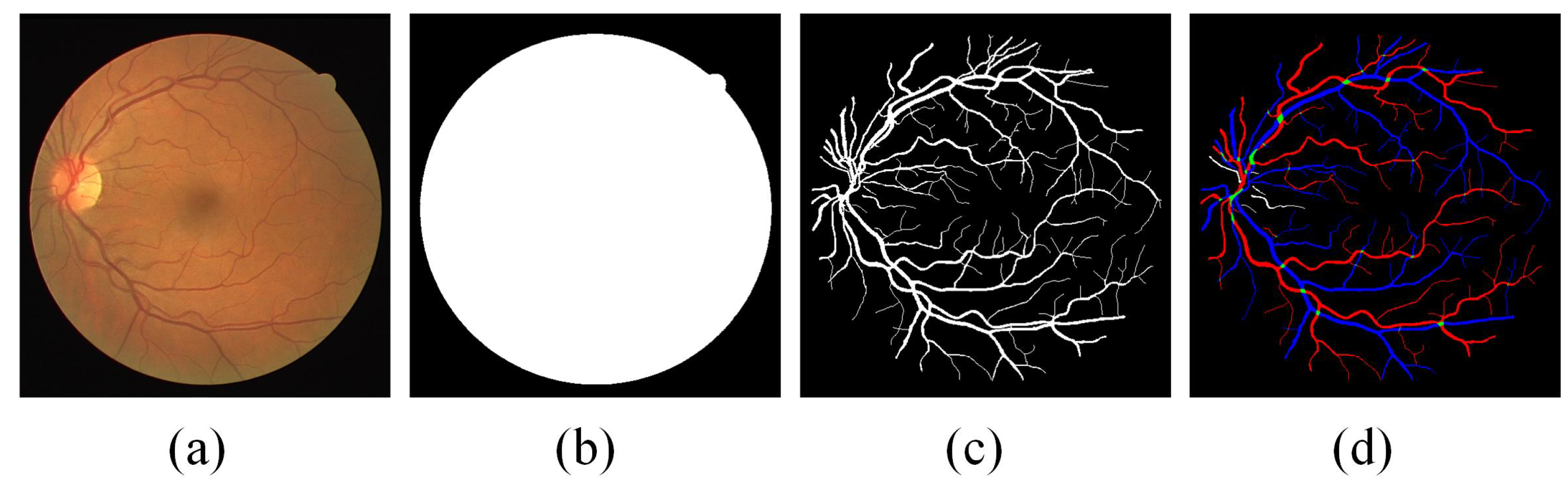 Diagnostics 13 01148 g001