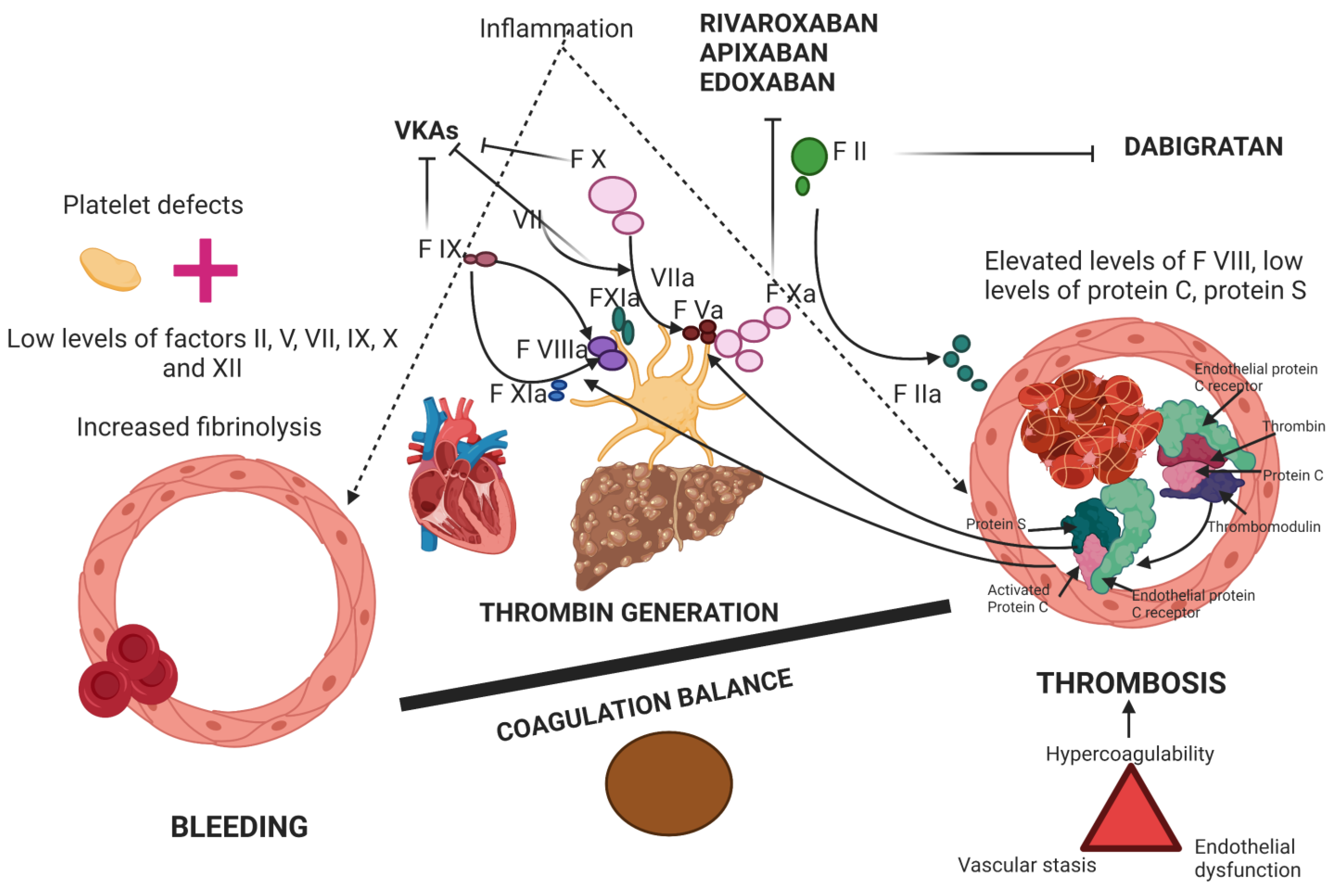 Diagnostics 13 01160 g002