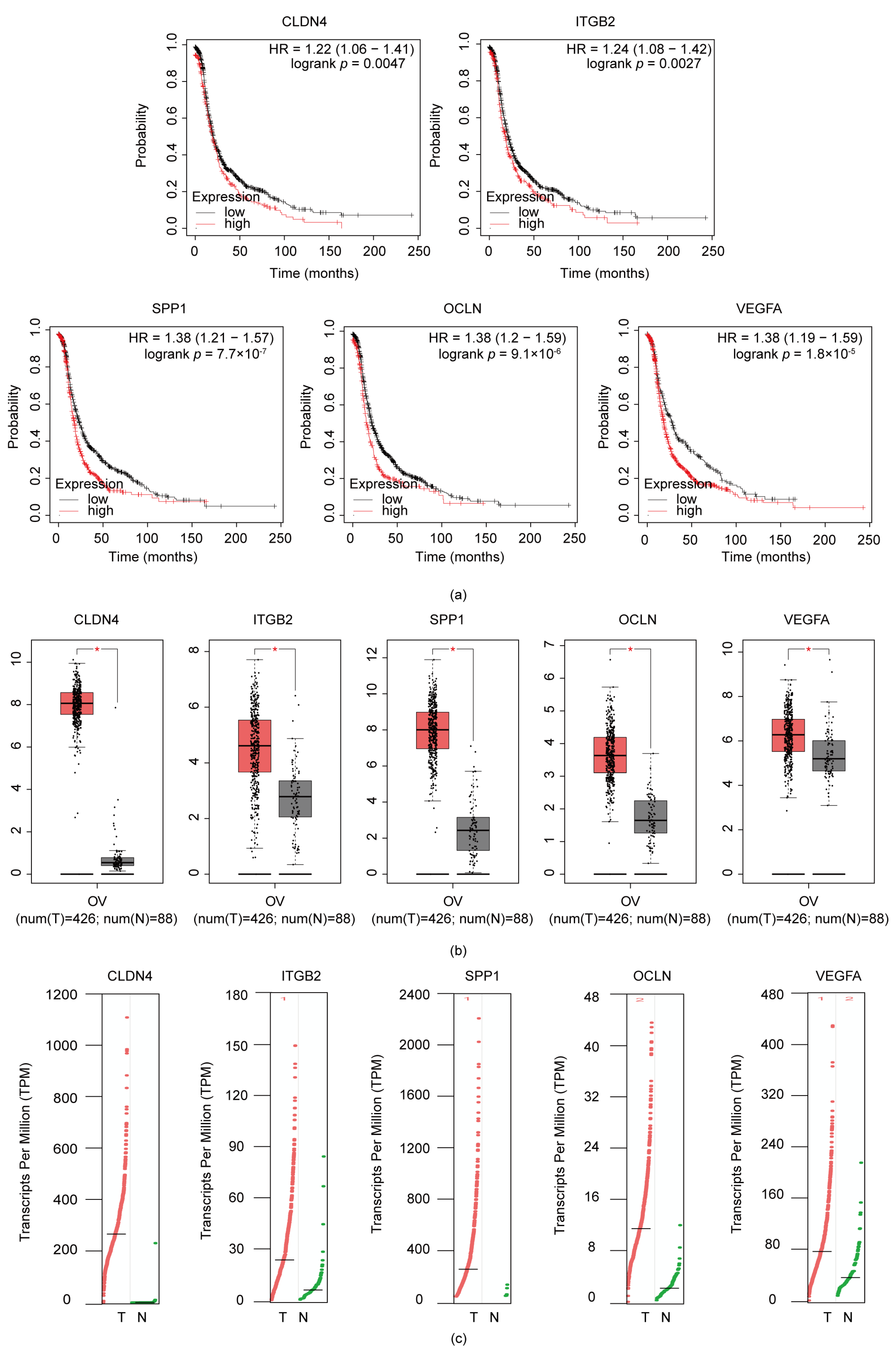 Diagnostics 13 01169 g003