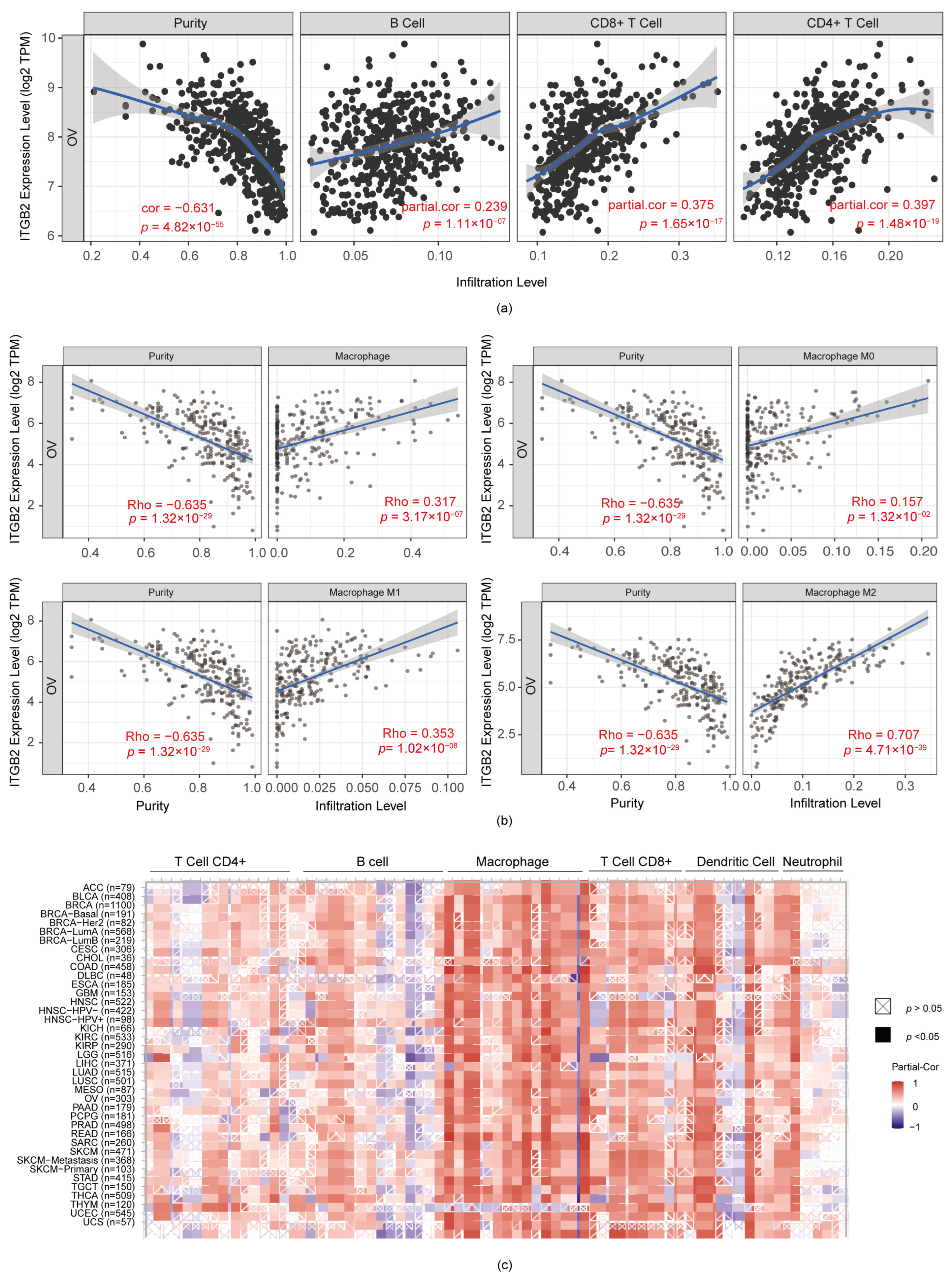 Diagnostics 13 01169 g004