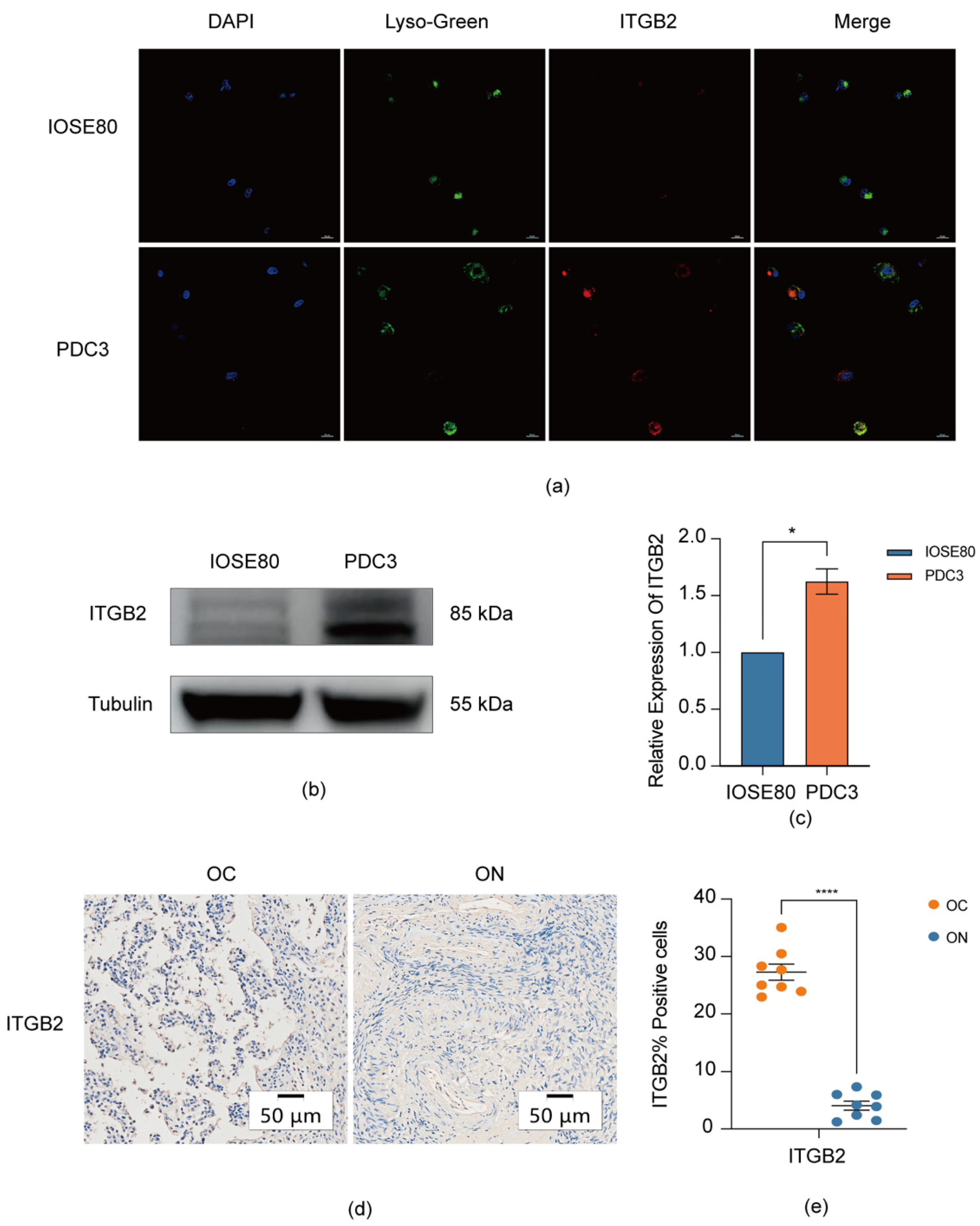 Diagnostics 13 01169 g005