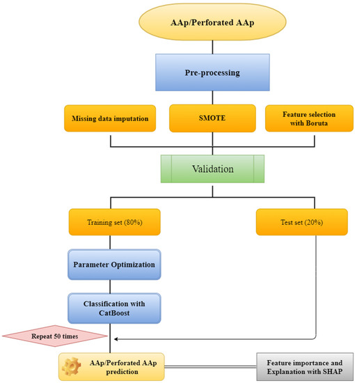 Diagnostics 13 01173 g001