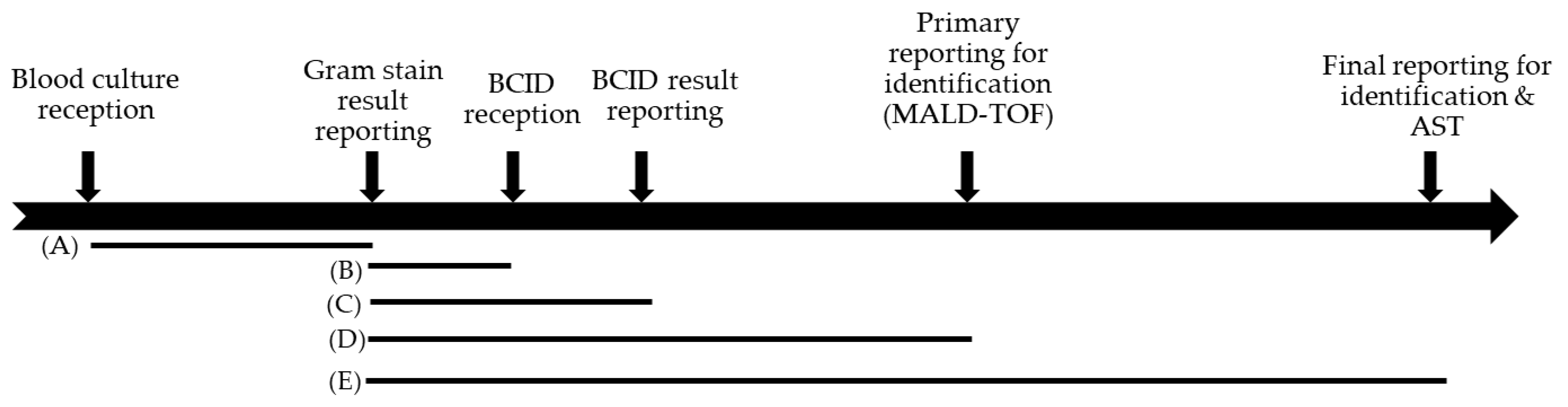 Diagnostics 13 01177 g001