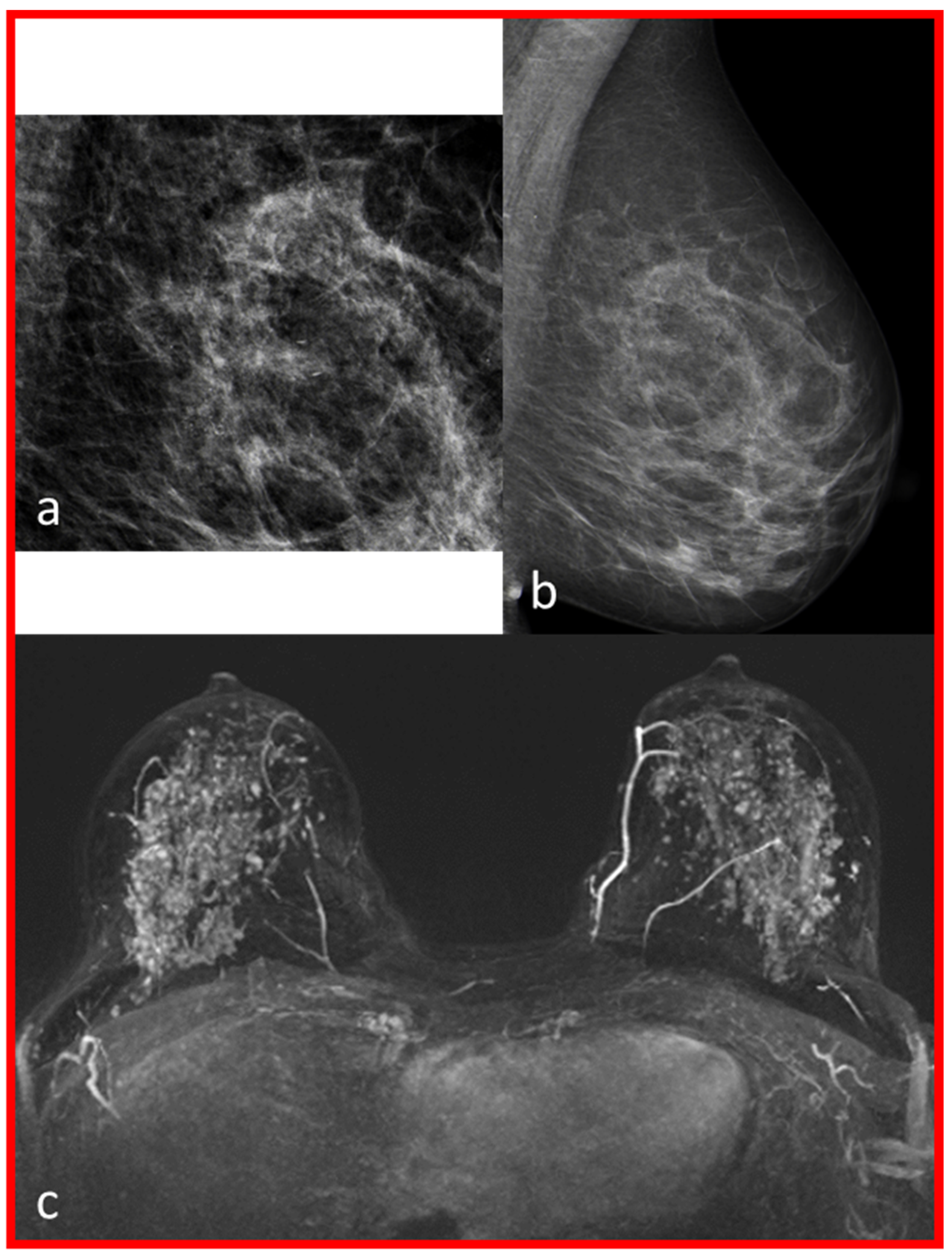 Diagnostics 13 01197 g002
