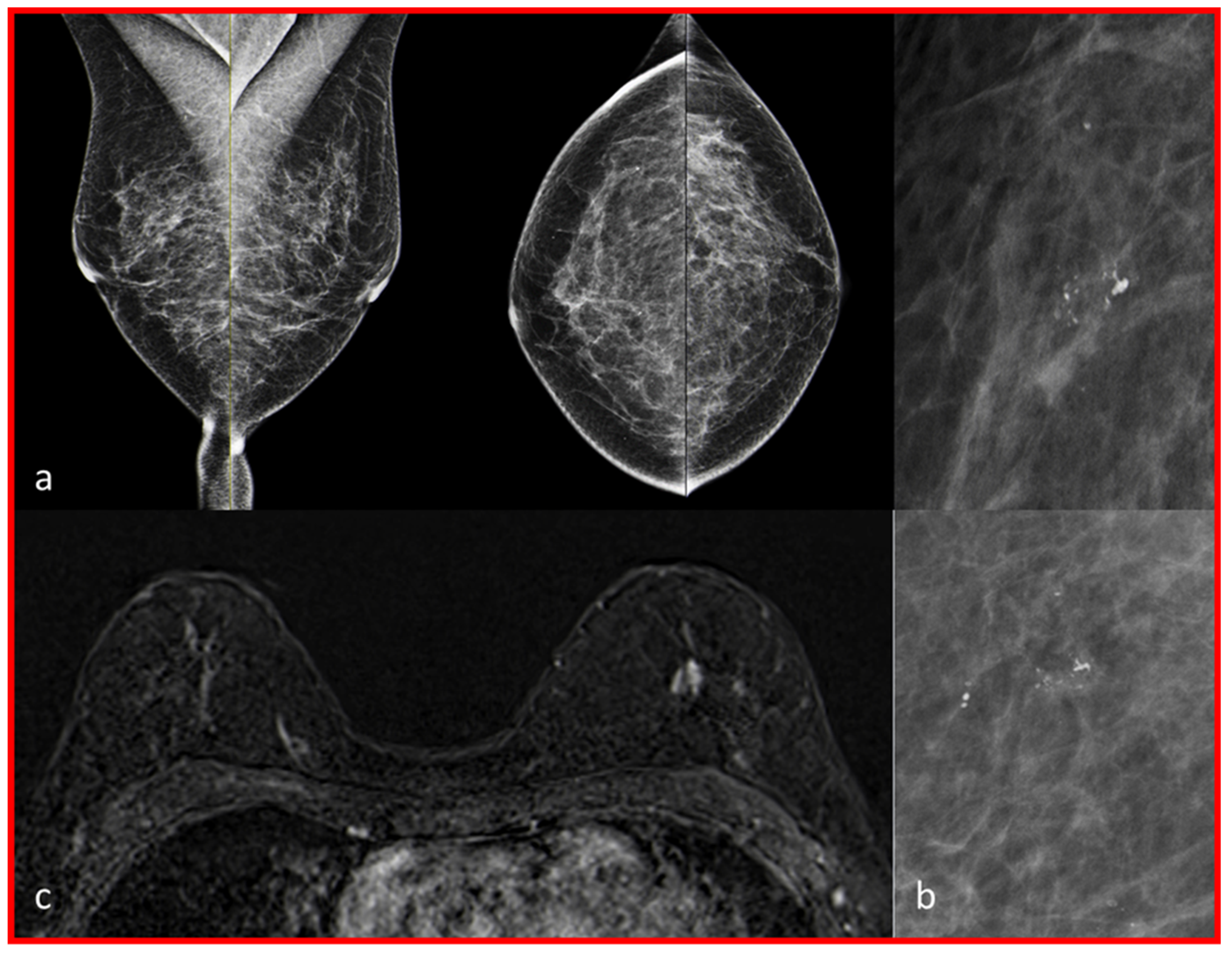 Diagnostics 13 01197 g003