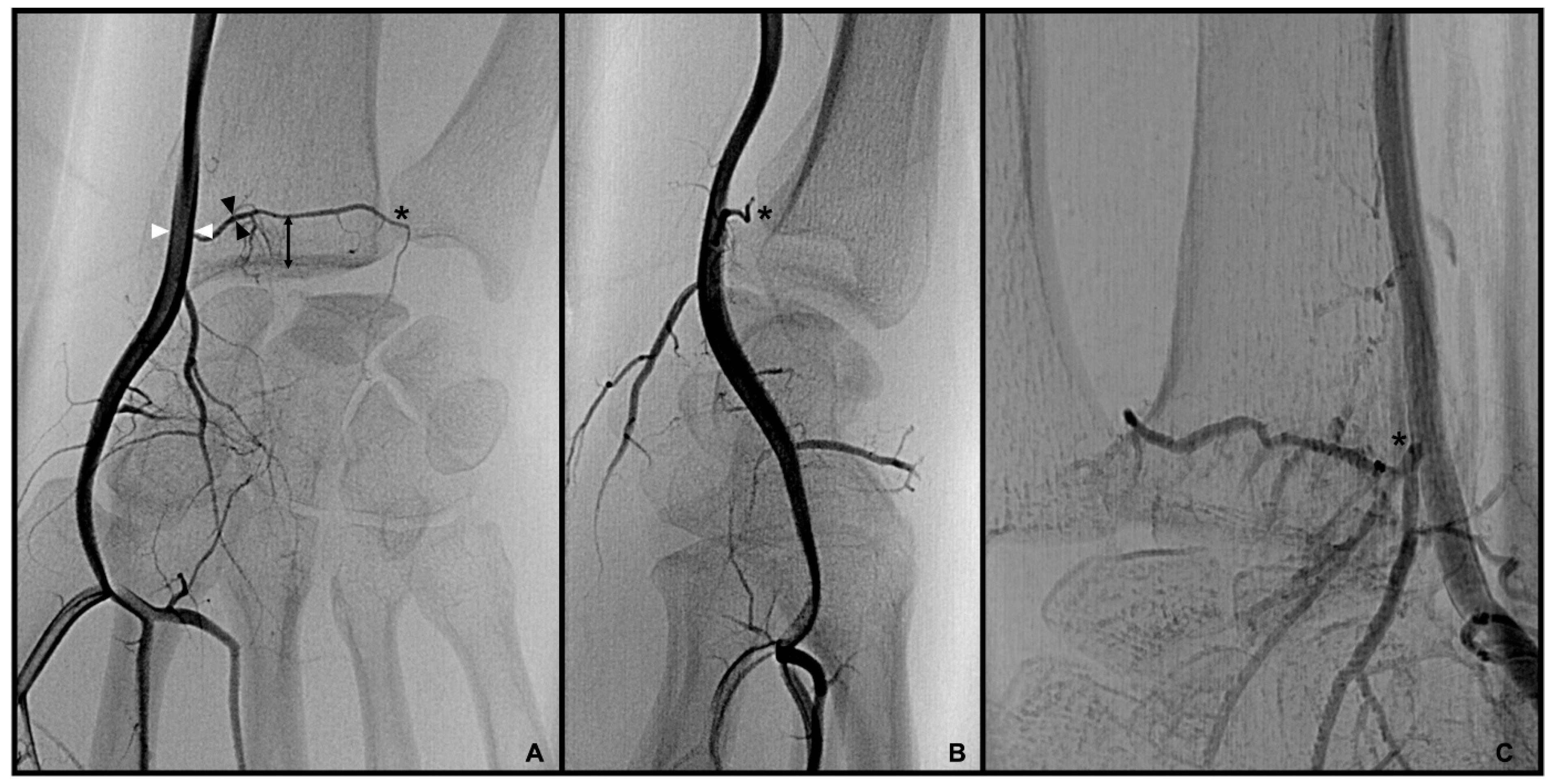 Diagnostics 13 01198 g002