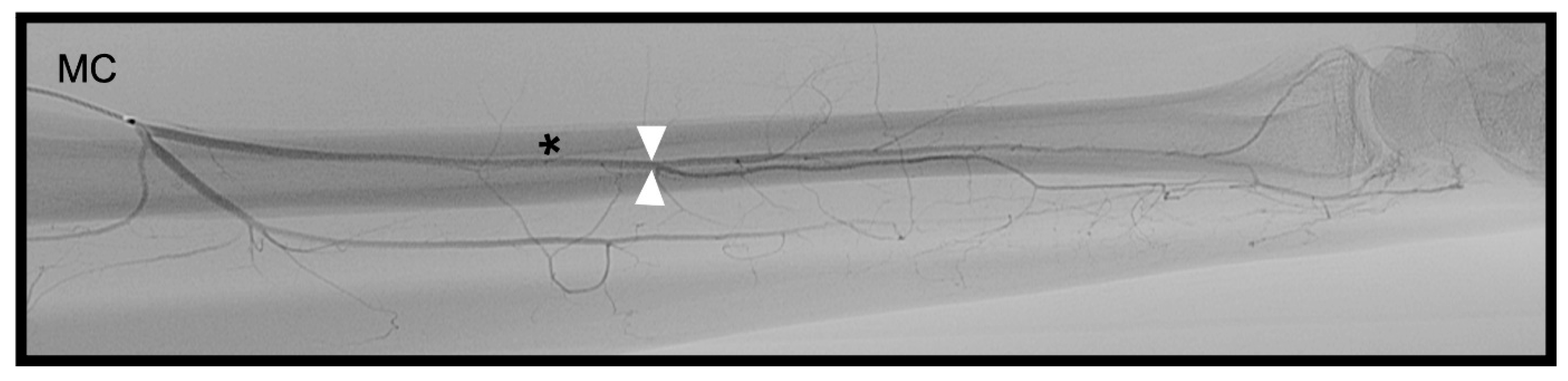 Diagnostics 13 01198 g004