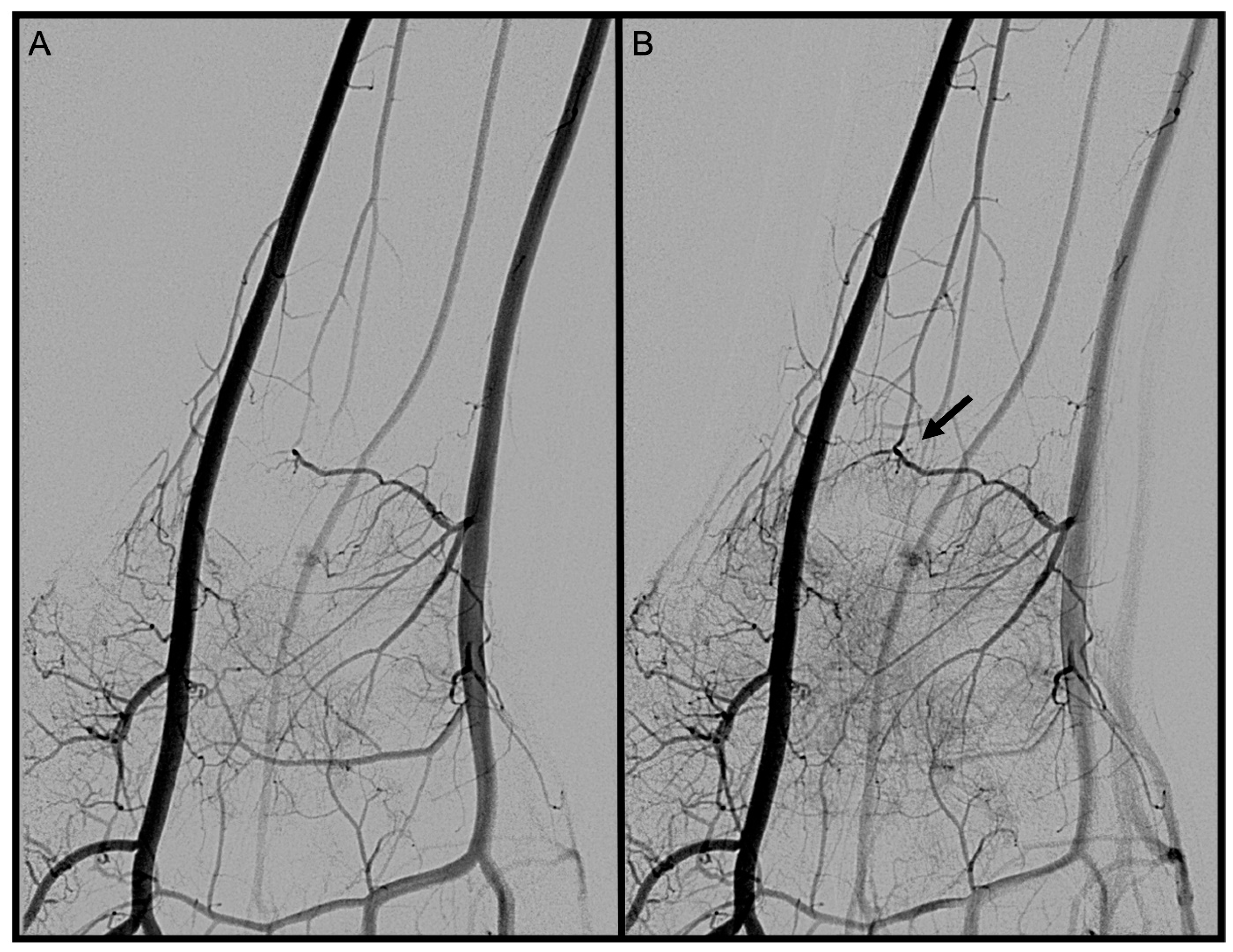 Diagnostics 13 01198 g009