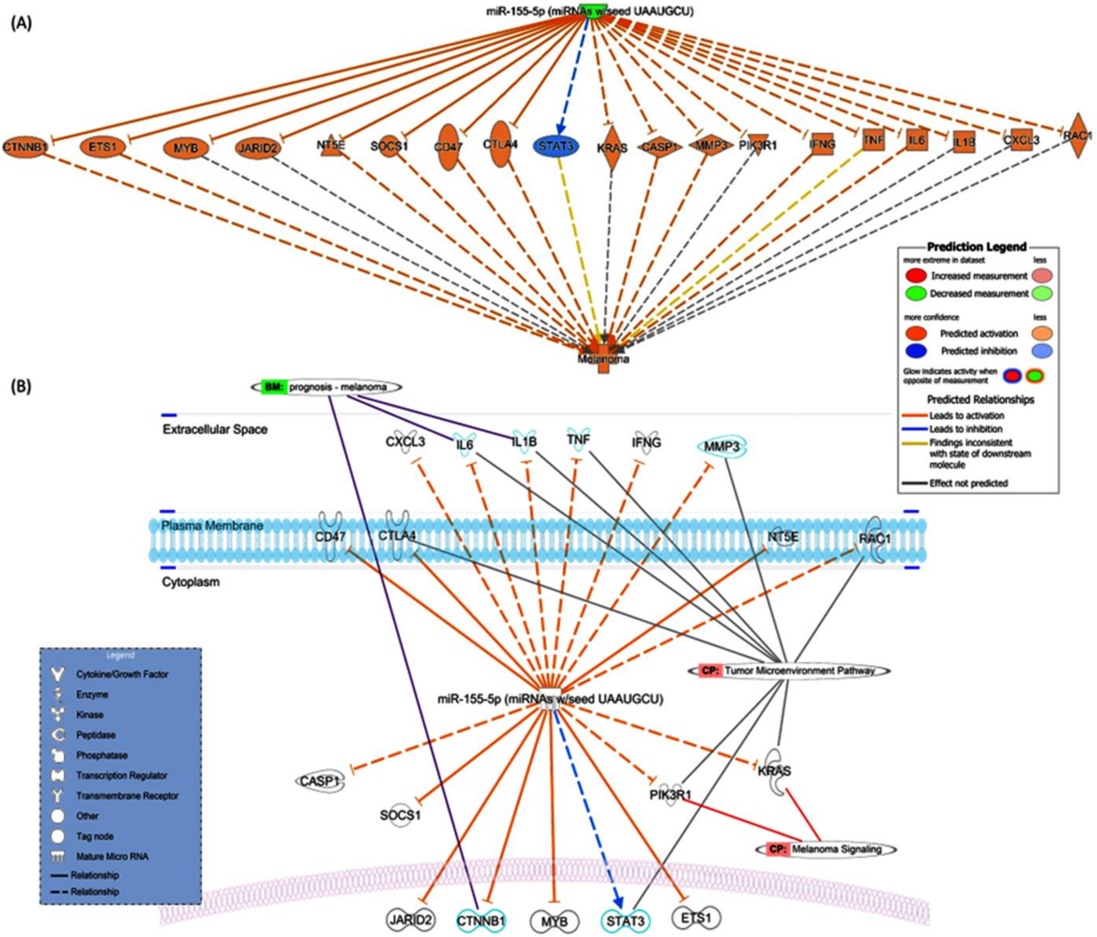 Diagnostics 13 01205 g002