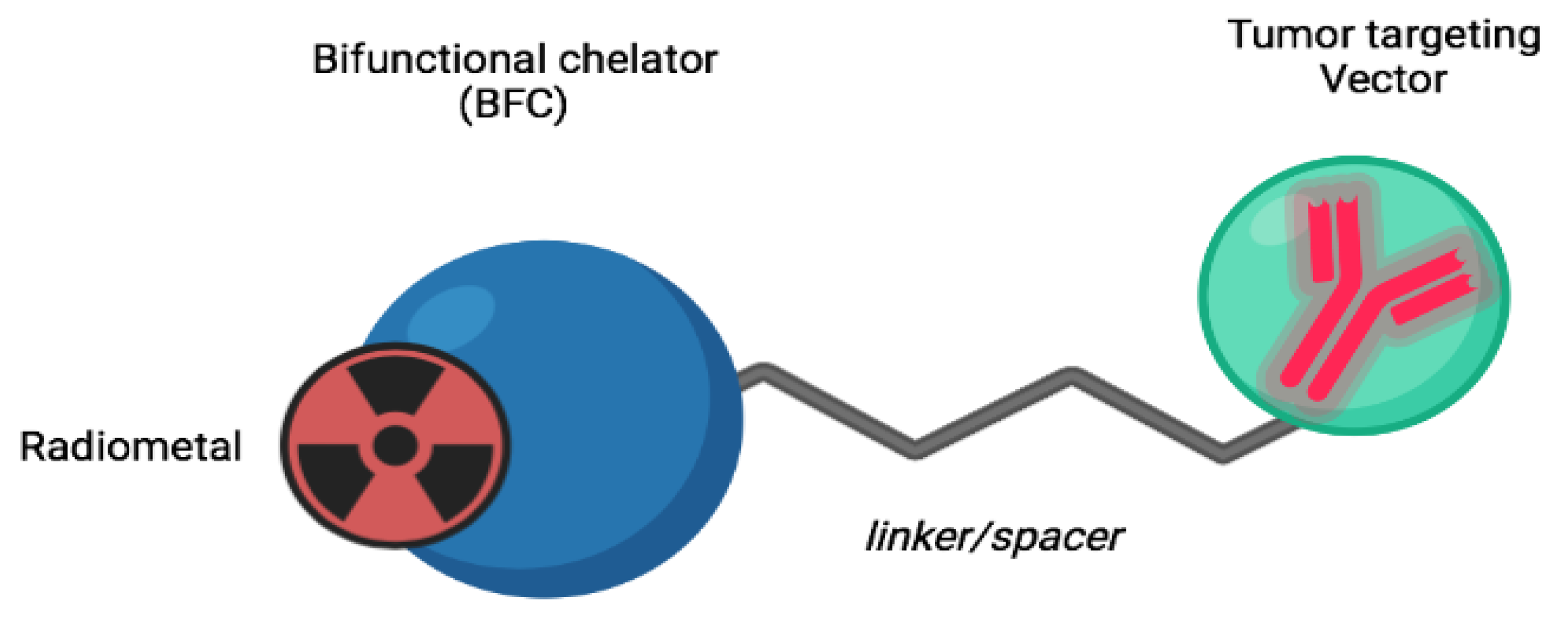 Diagnostics 13 01210 g002