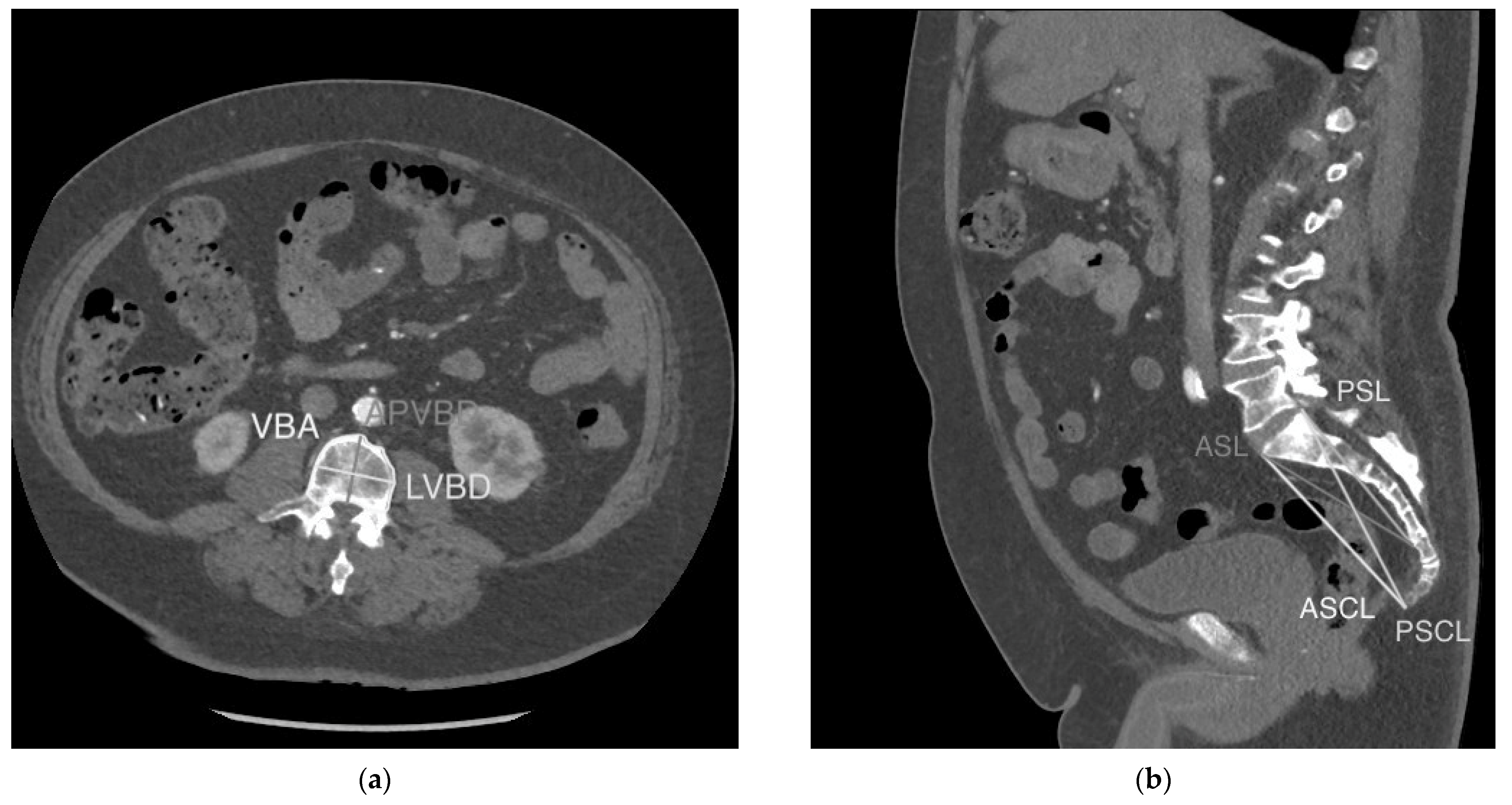 Diagnostics 13 01222 g001