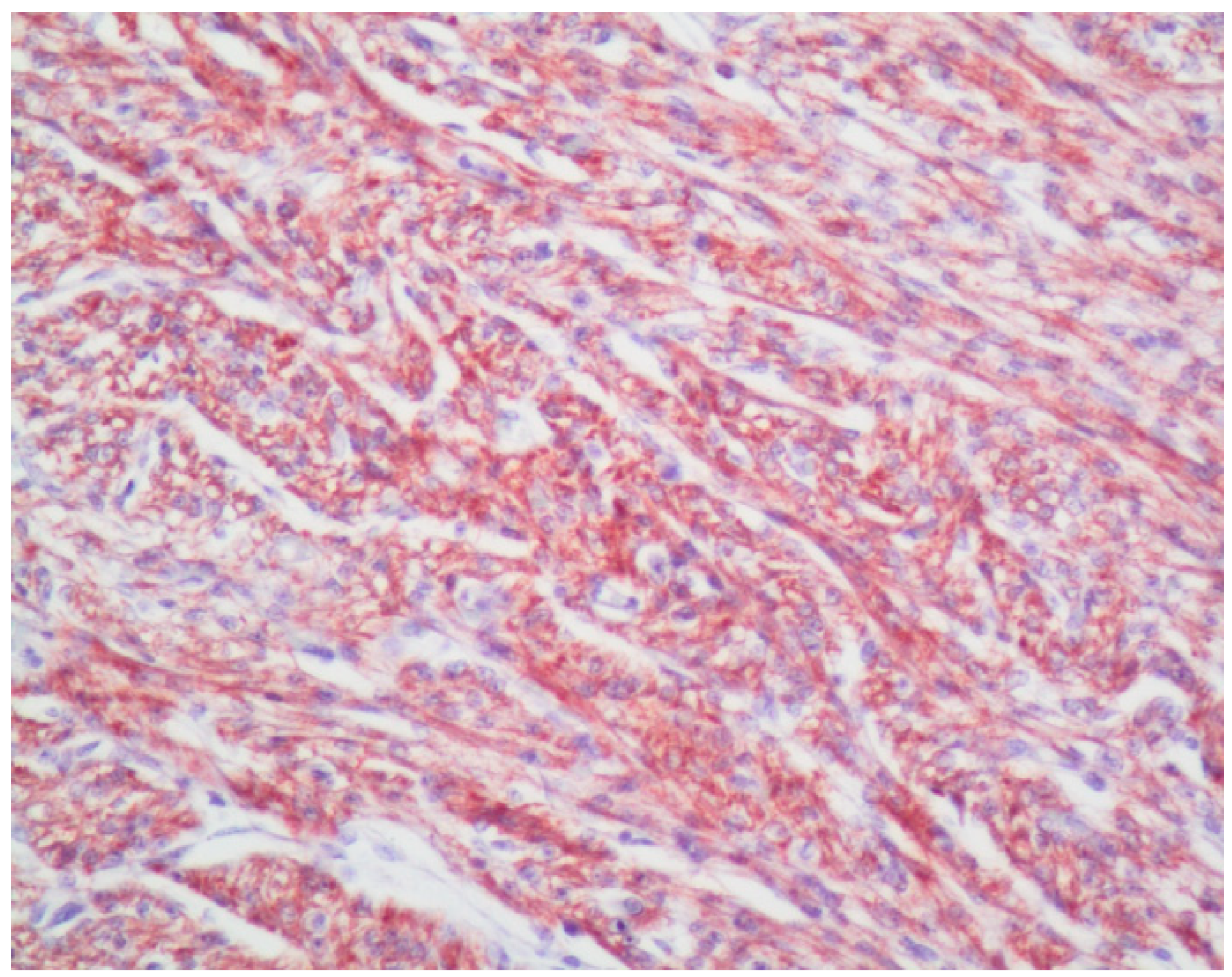 Diagnostics 13 01225 g001