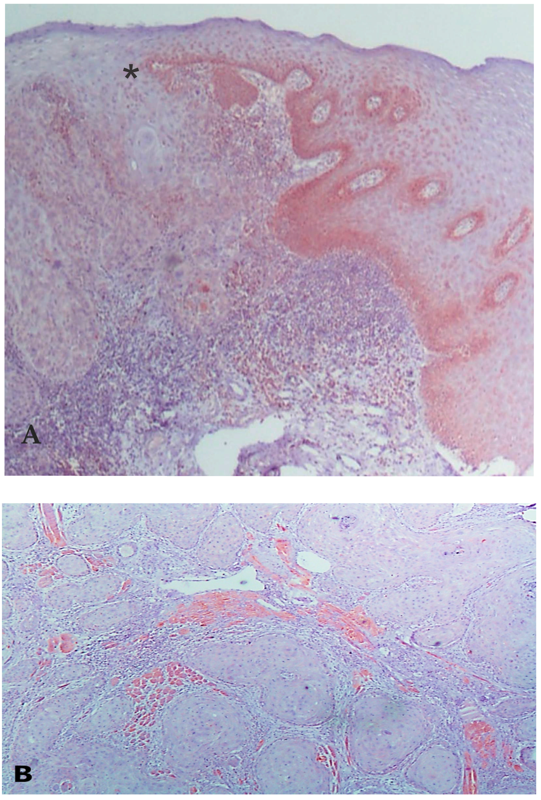 Diagnostics 13 01225 g002a