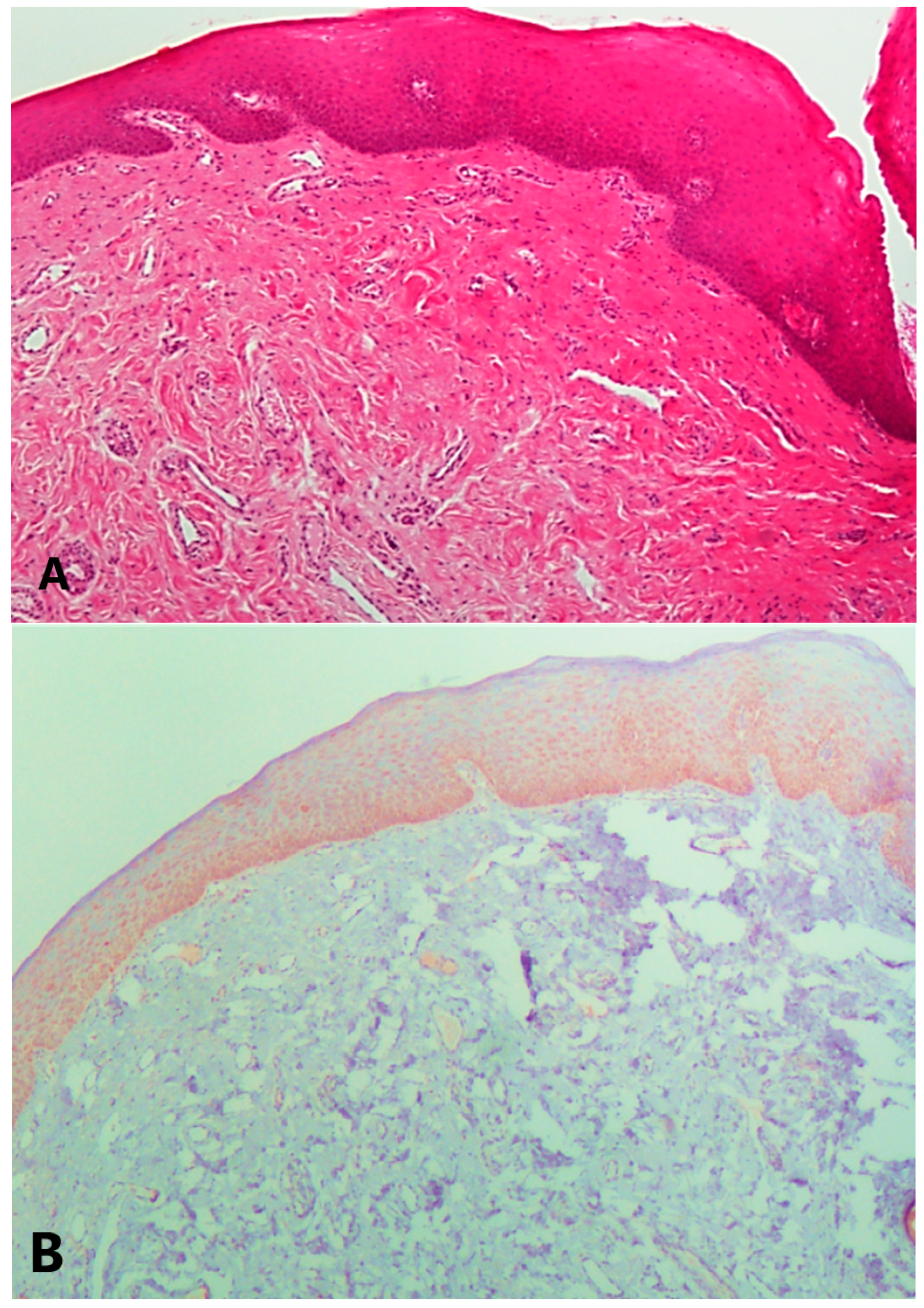 Diagnostics 13 01225 g003