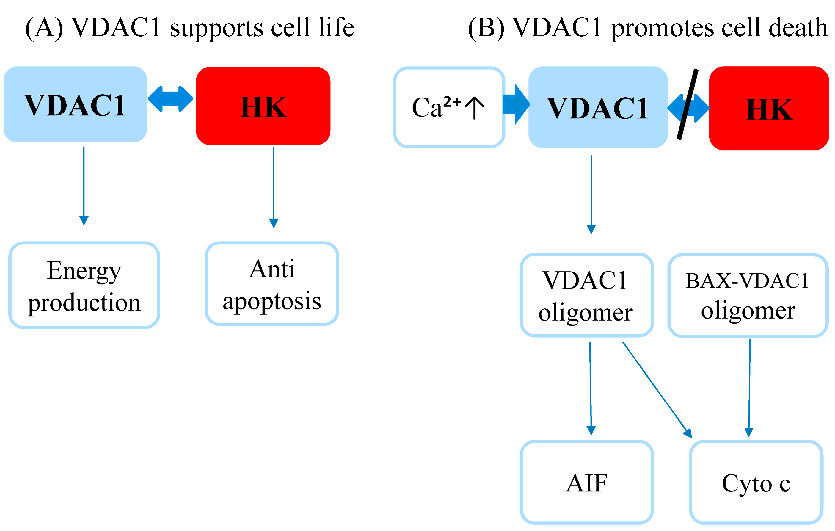 Diagnostics 13 01225 g004