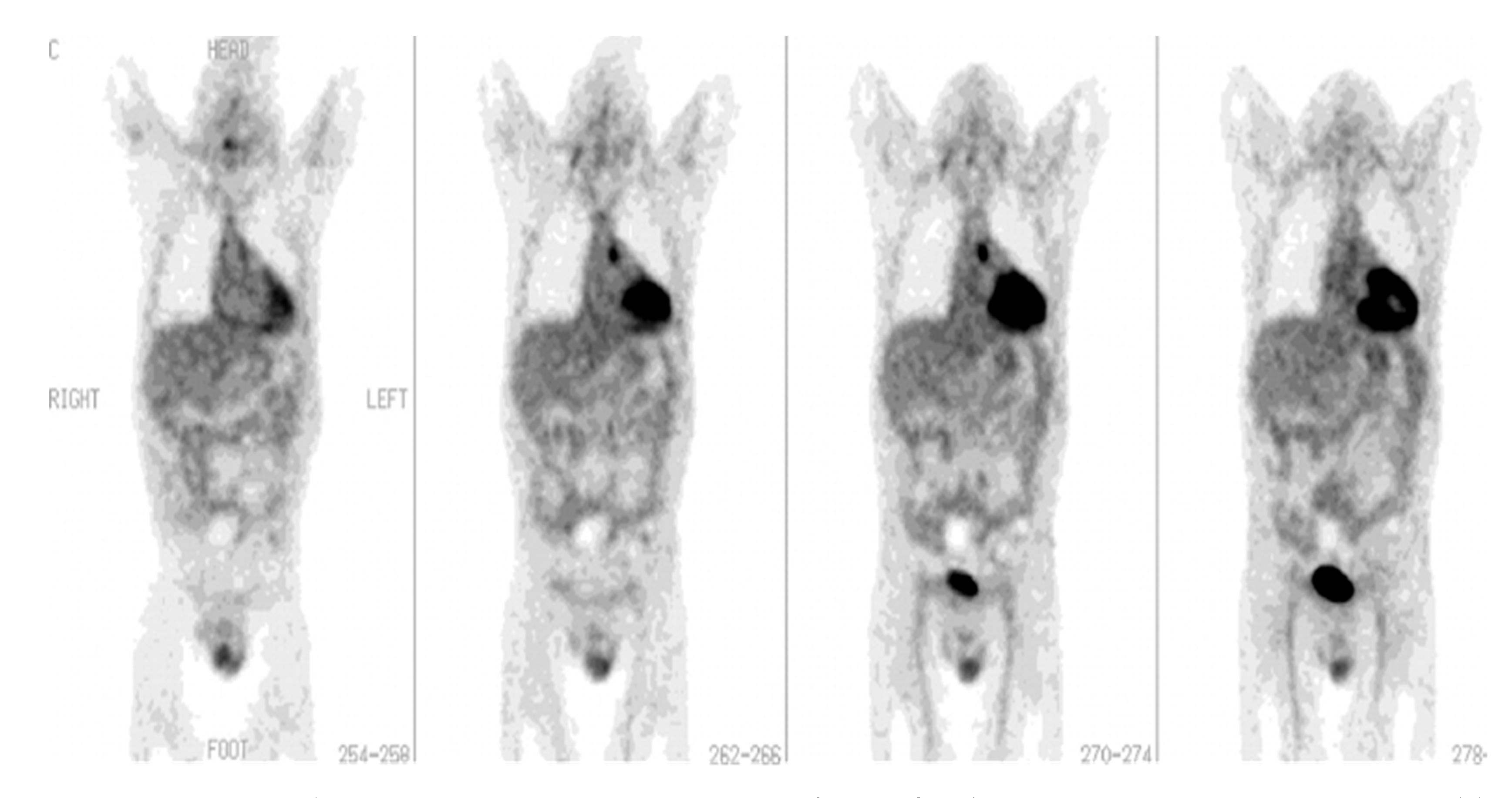 Diagnostics 13 01231 g002