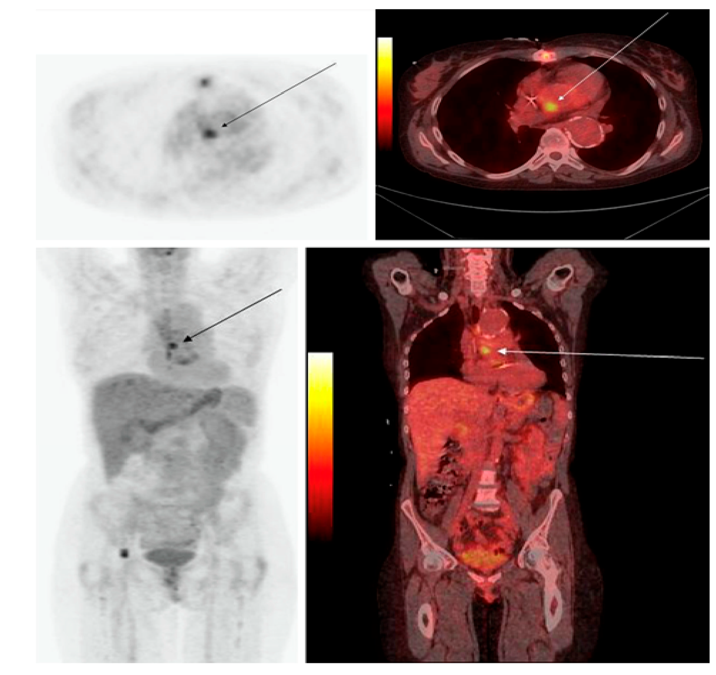 Diagnostics 13 01231 g003