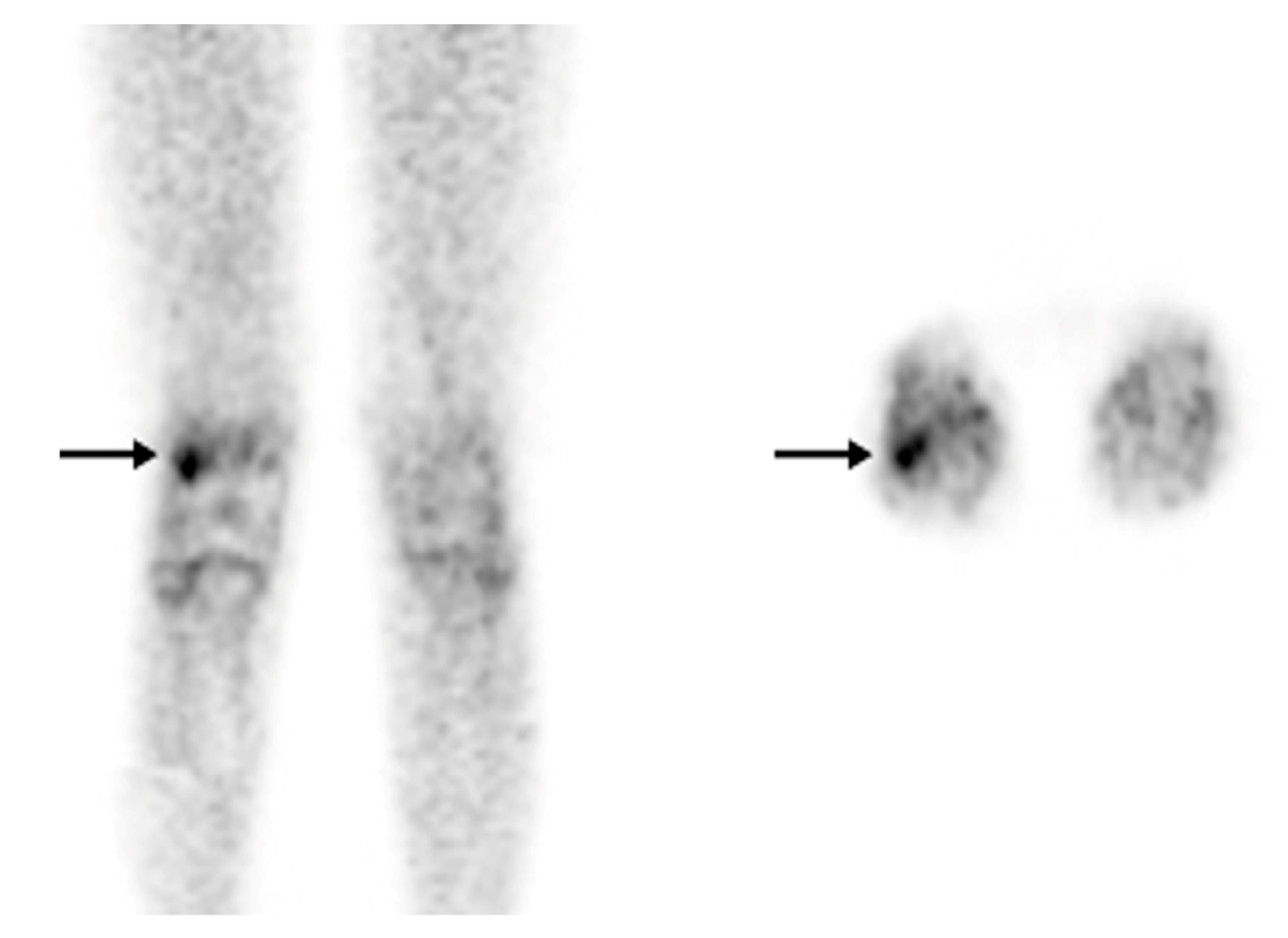 Diagnostics 13 01231 g004