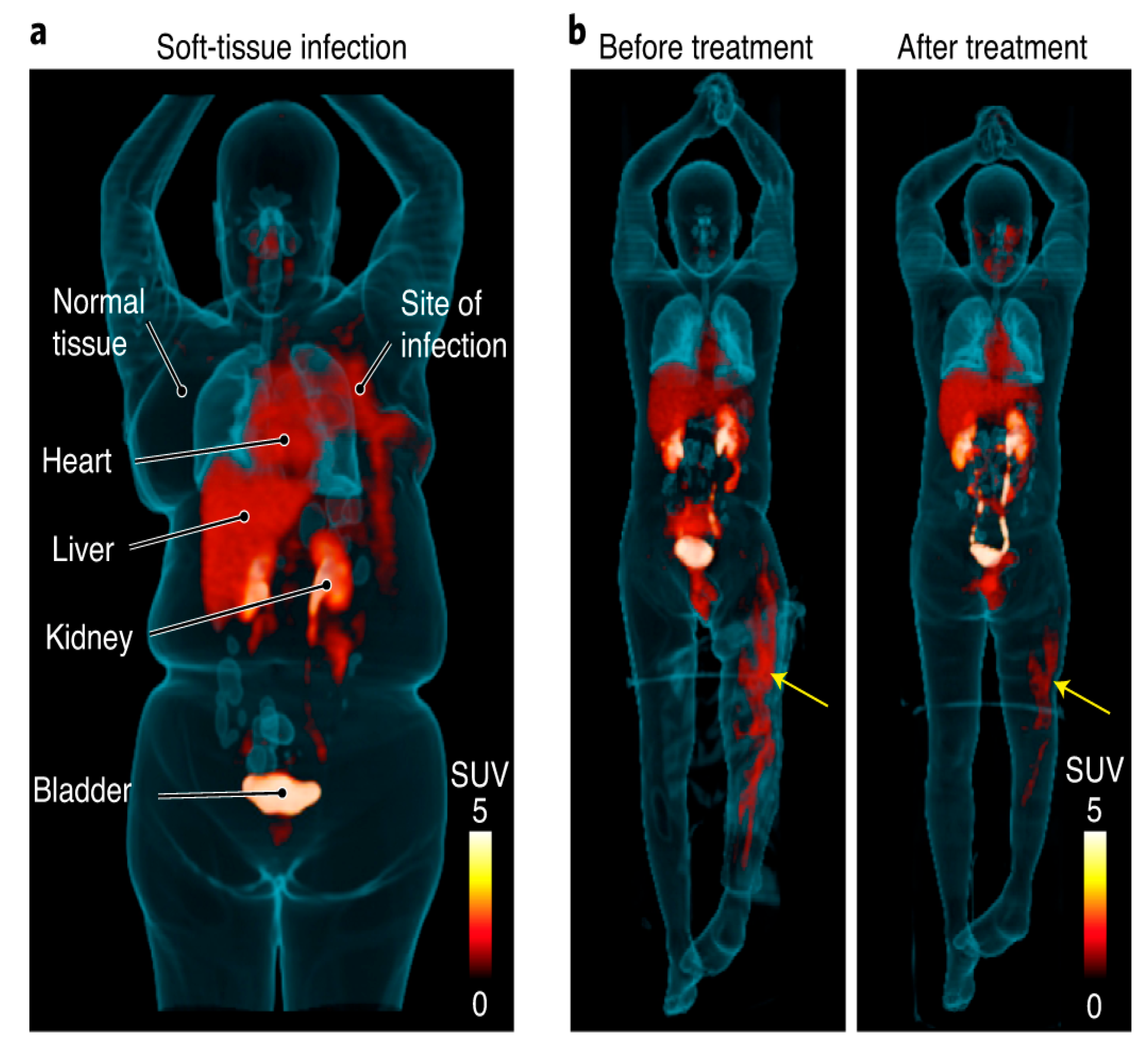 Diagnostics 13 01231 g005