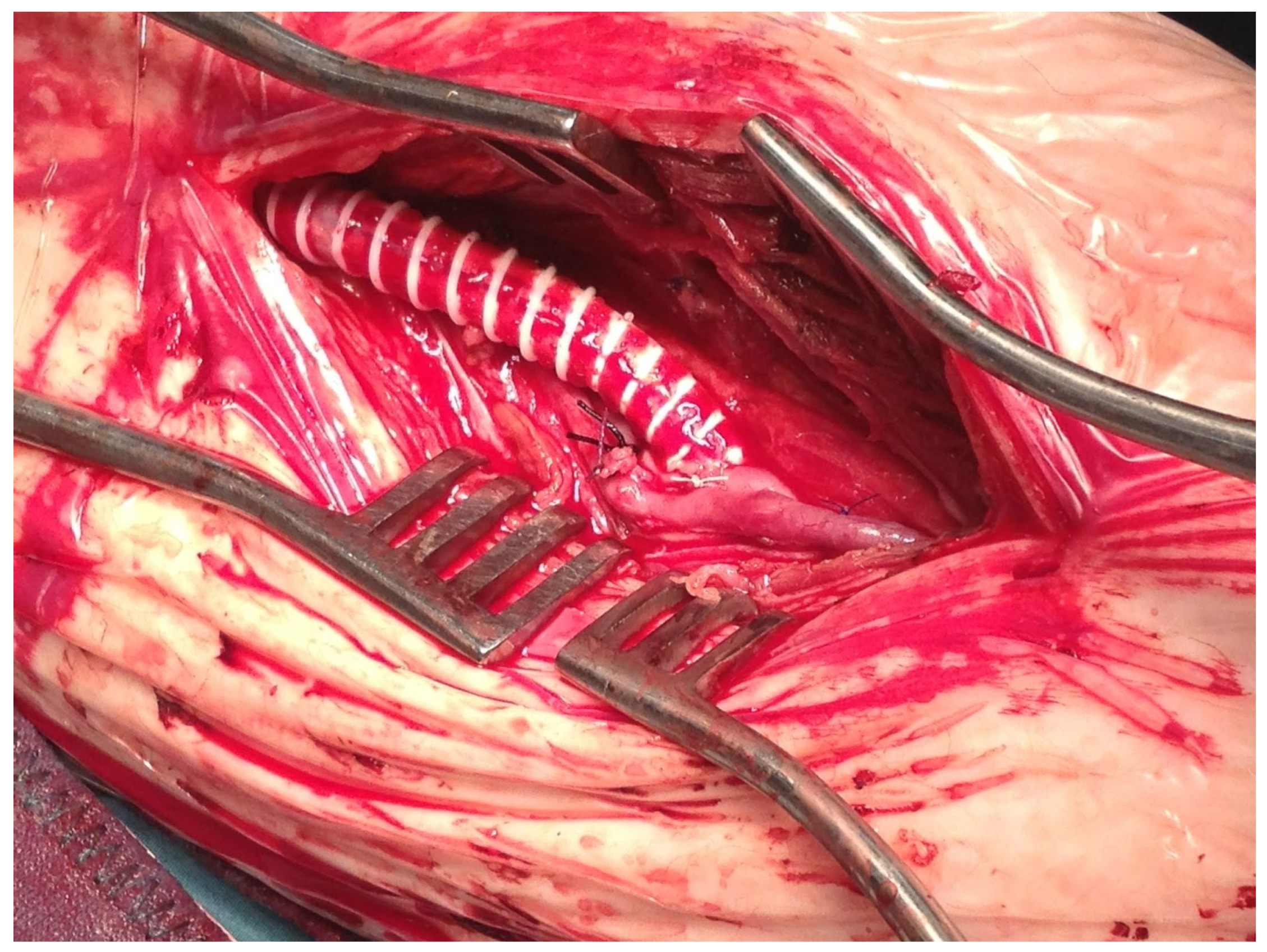 Diagnostics 13 01246 g001