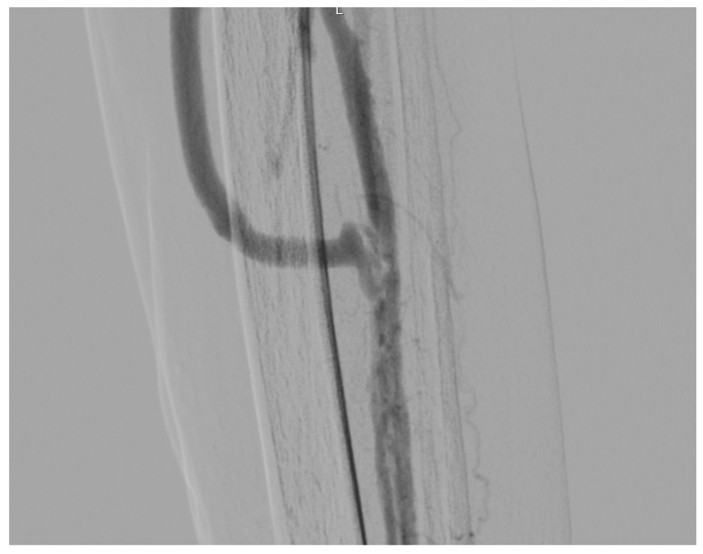 Diagnostics 13 01246 g004