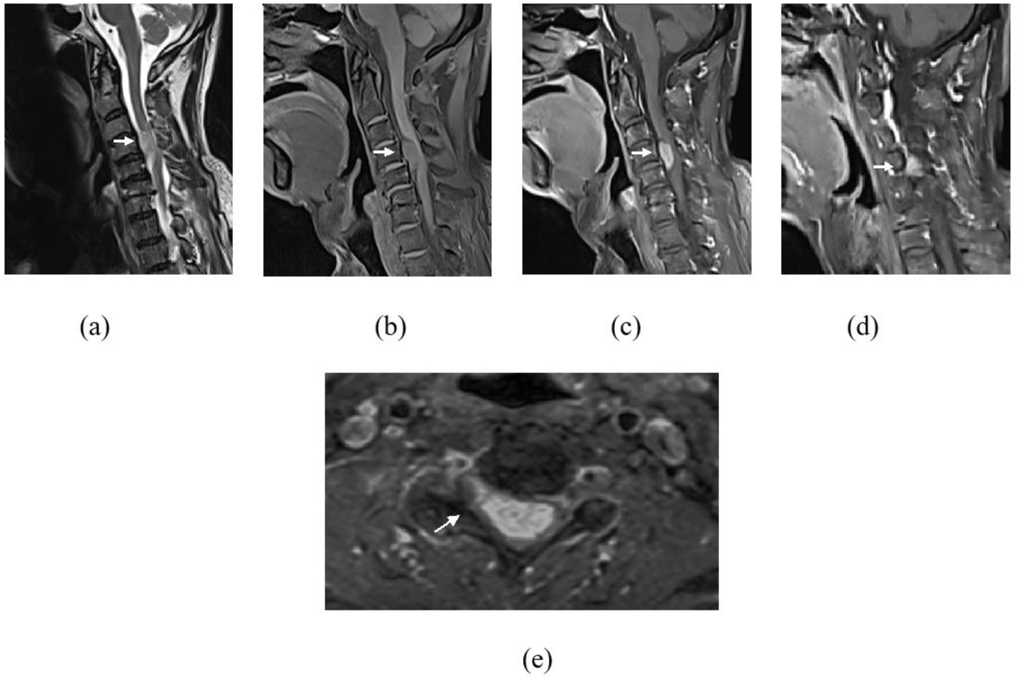 Diagnostics 13 01254 g002