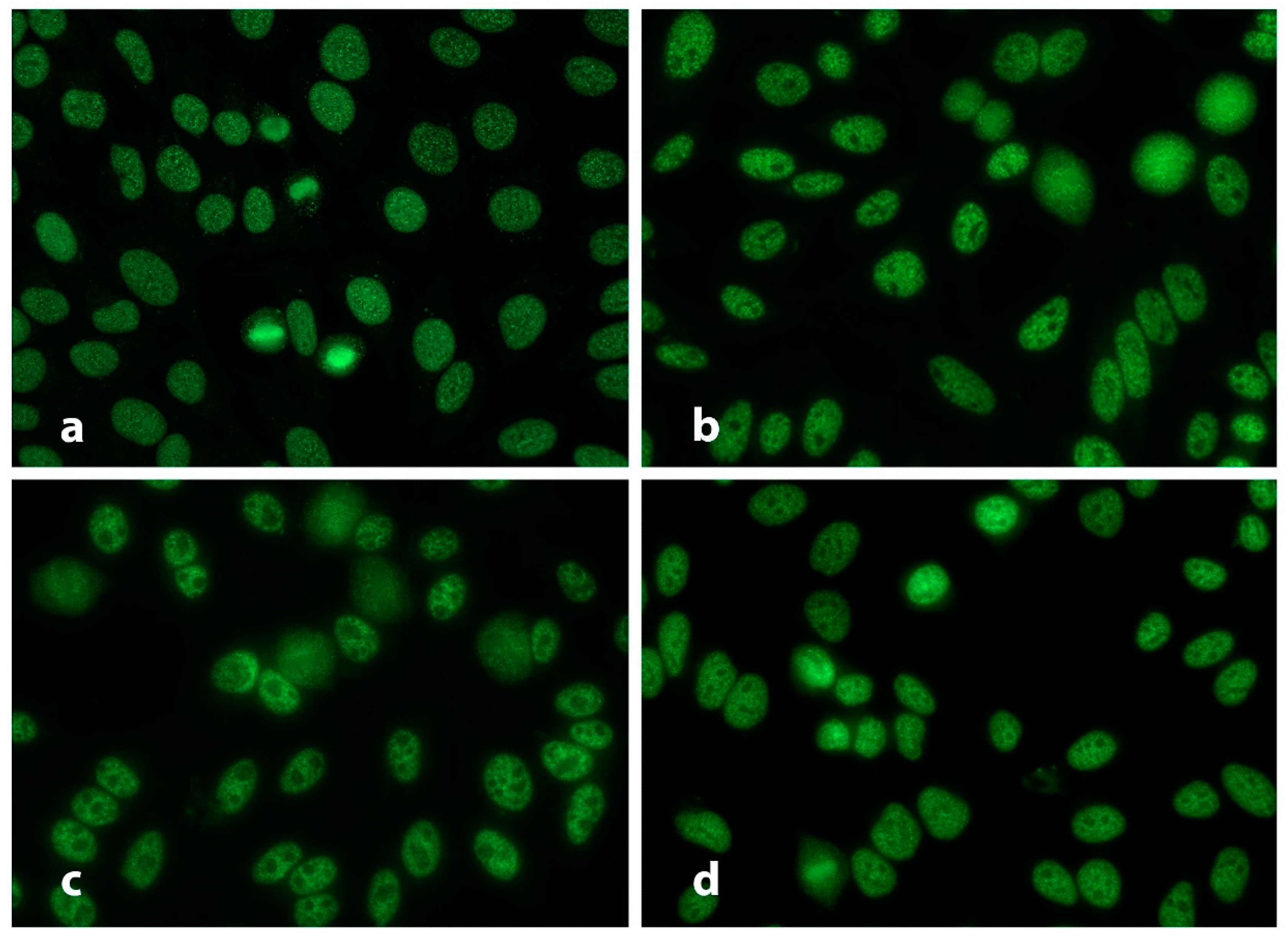 Diagnostics 13 01257 g002