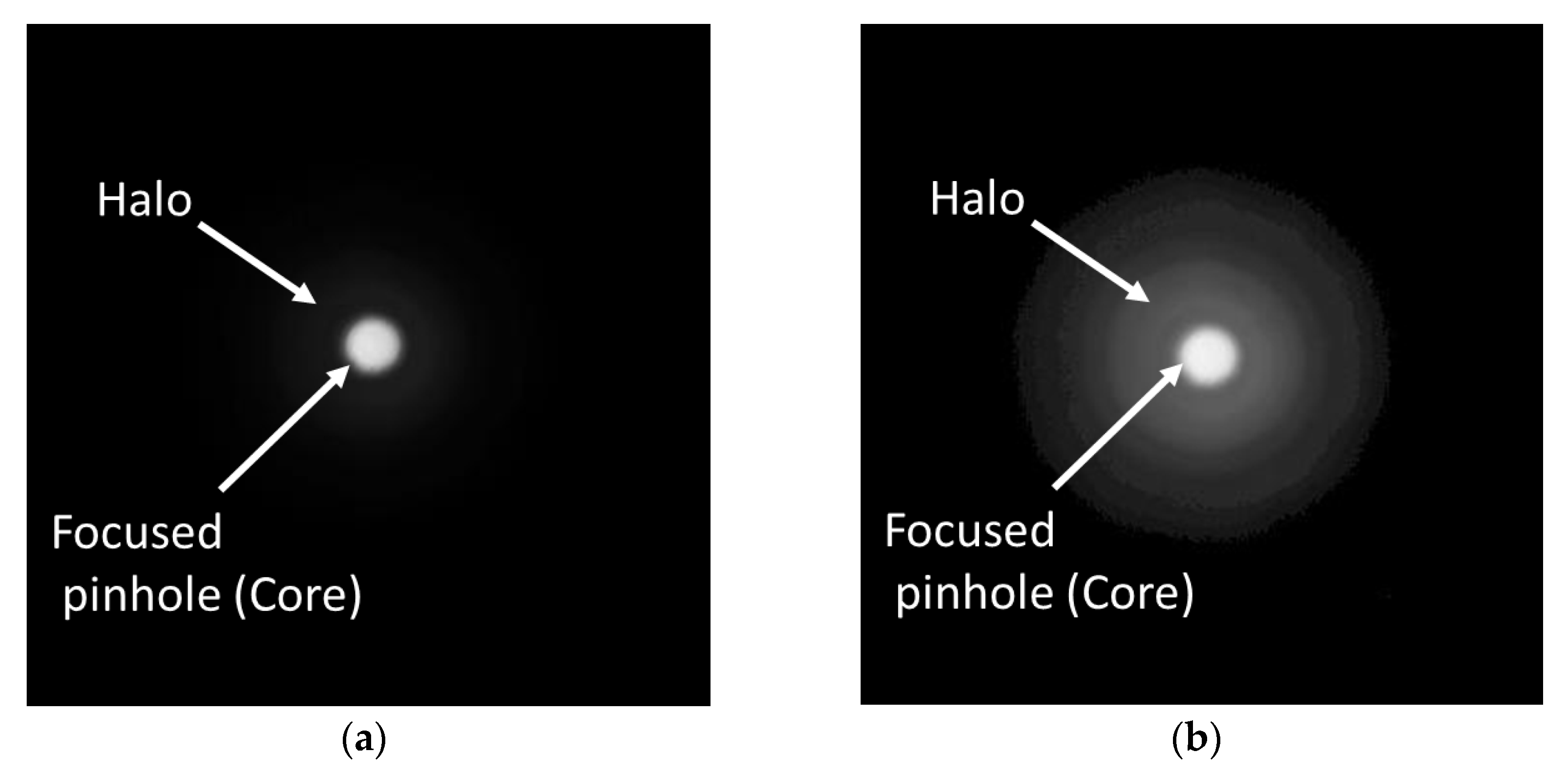 Diagnostics 13 01259 g002