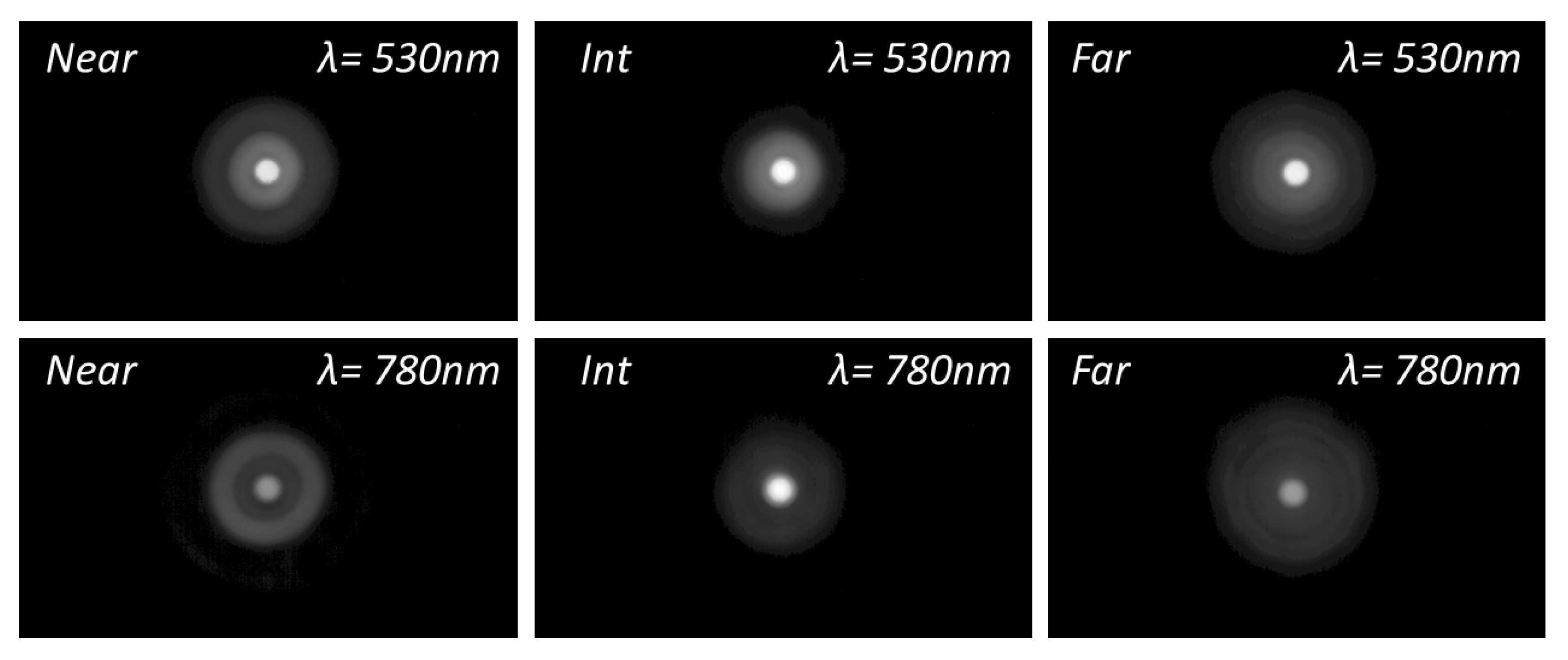Diagnostics 13 01259 g004