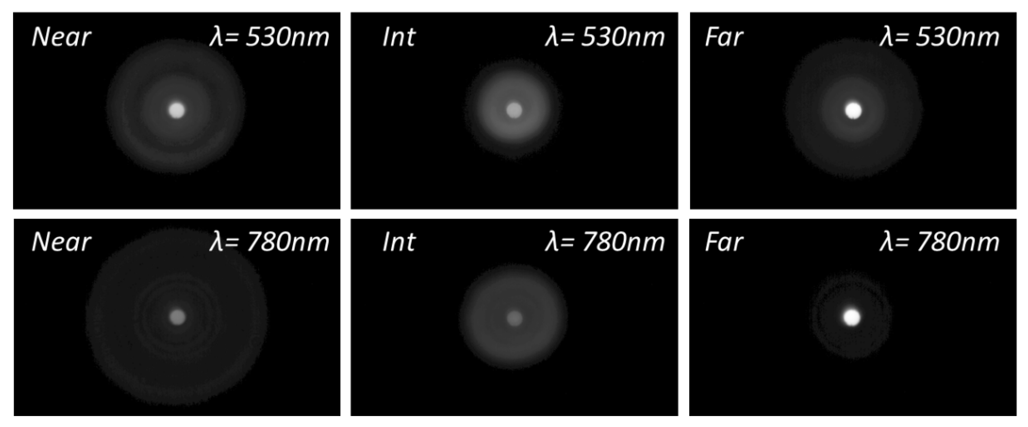 Diagnostics 13 01259 g005