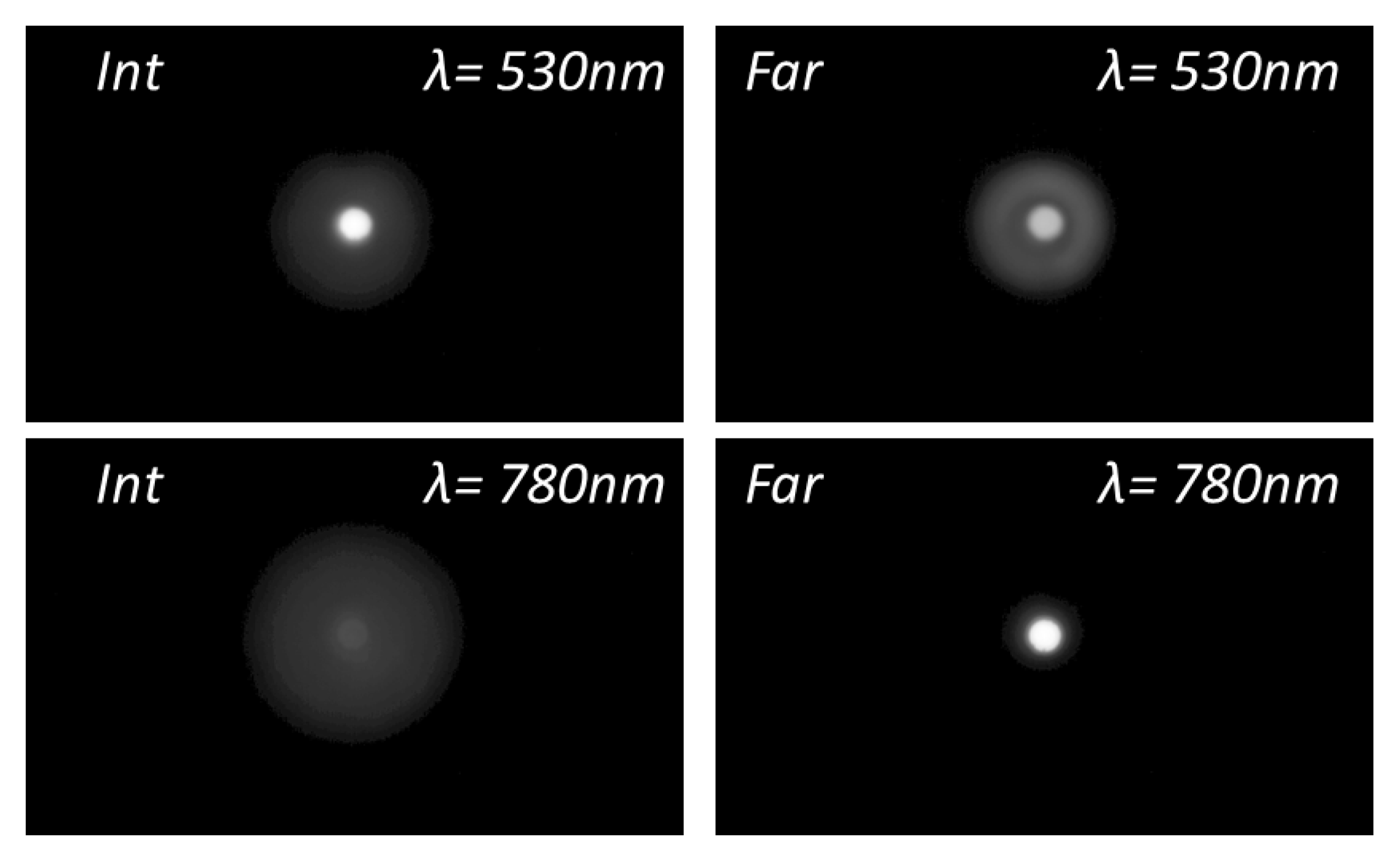 Diagnostics 13 01259 g006
