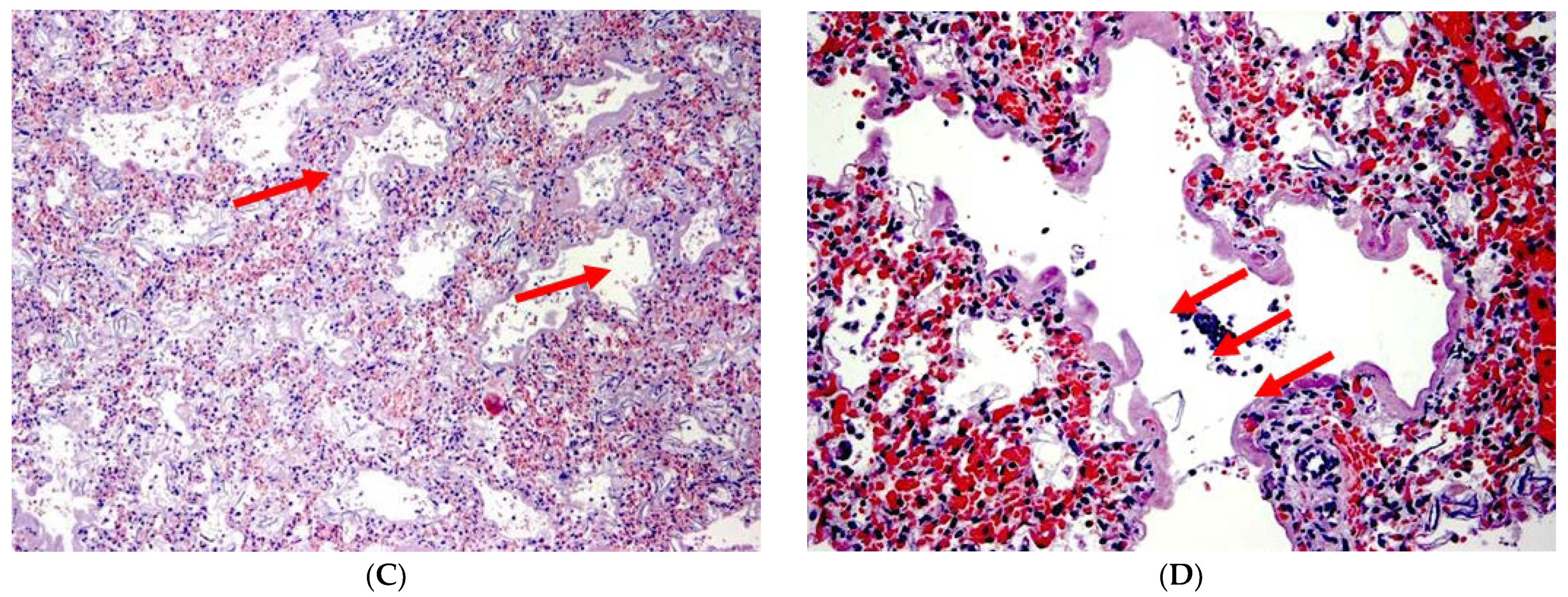 Diagnostics 13 01270 g001b