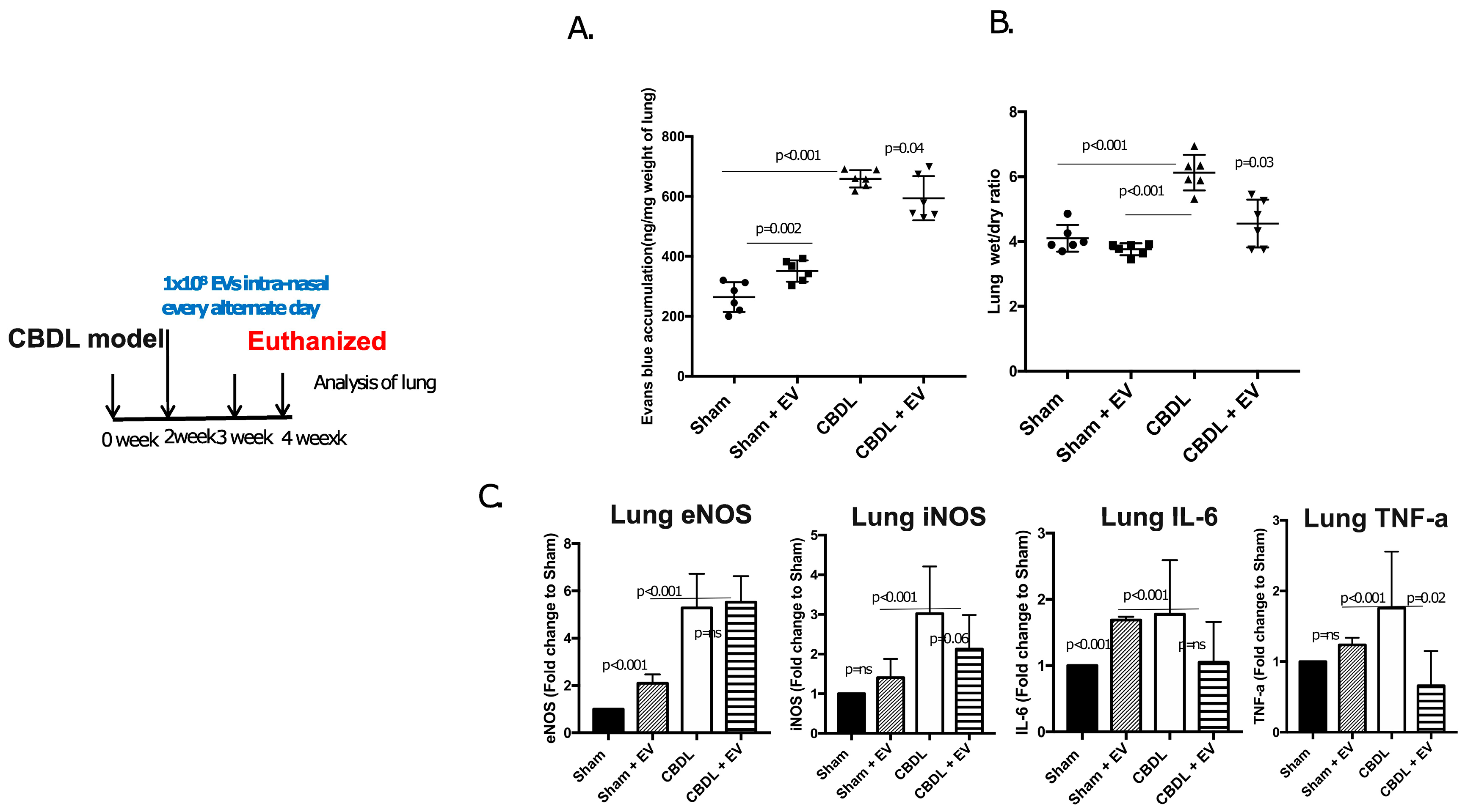Diagnostics 13 01272 g004