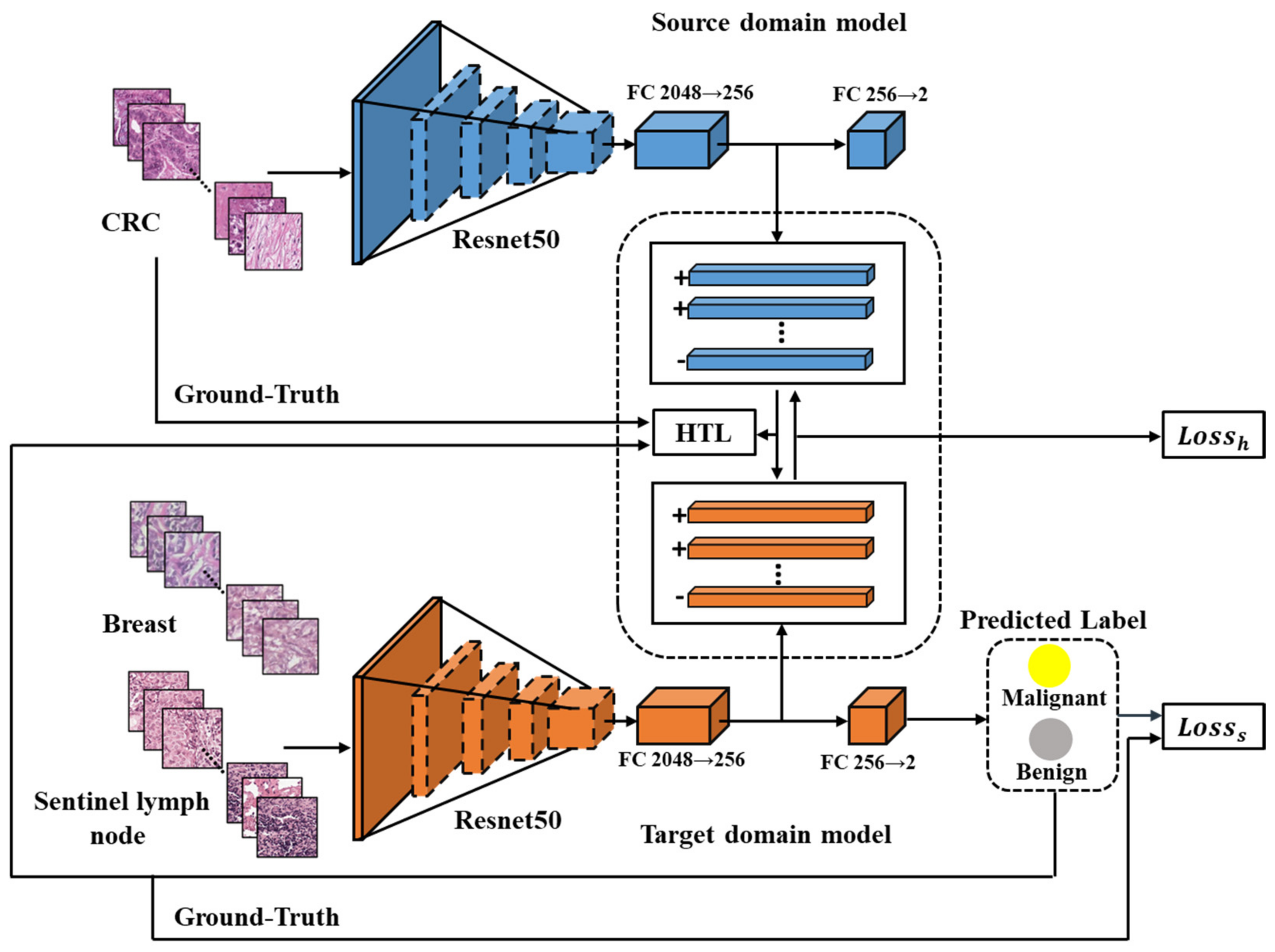 Diagnostics 13 01277 g002