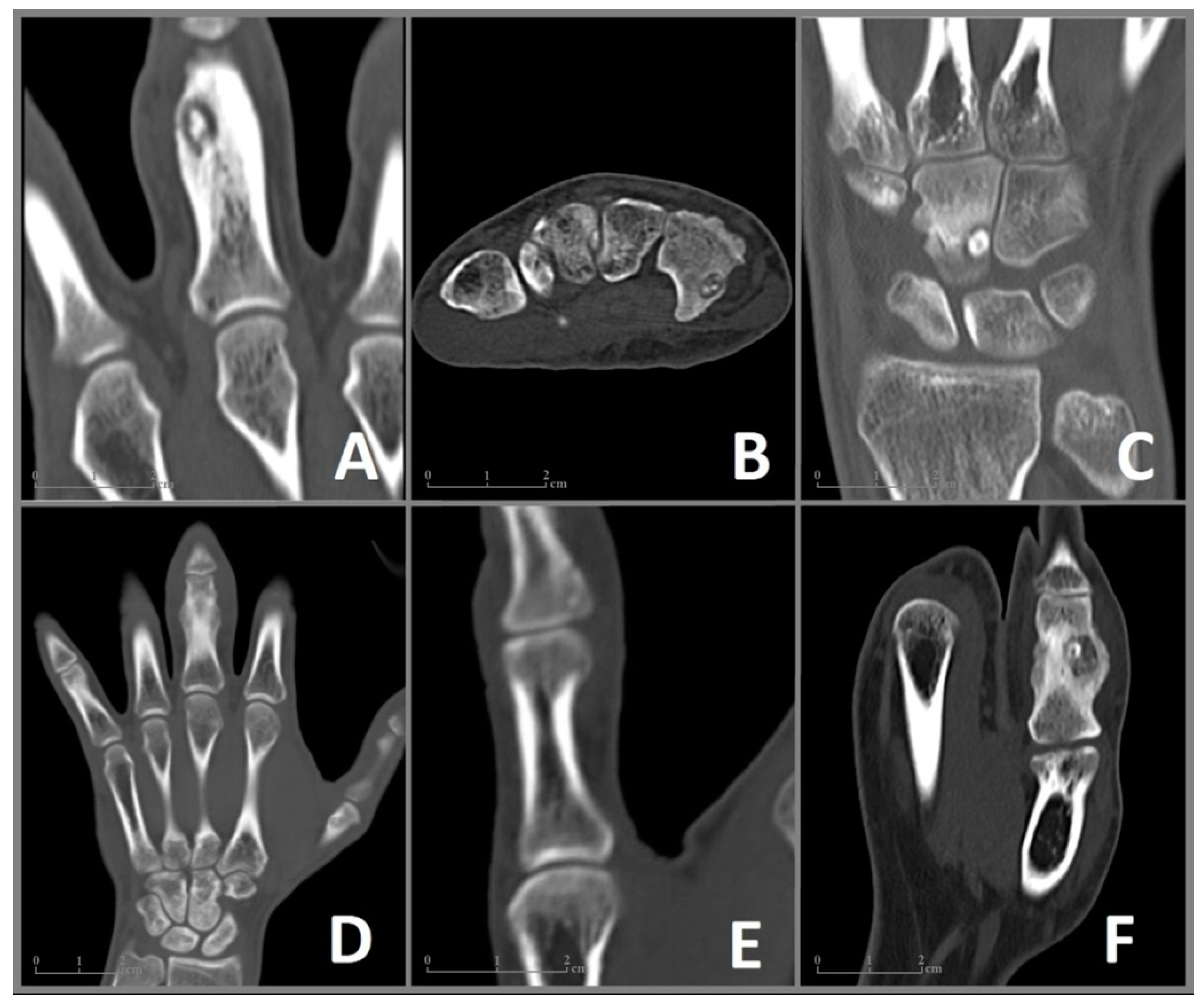 Diagnostics 13 01279 g002