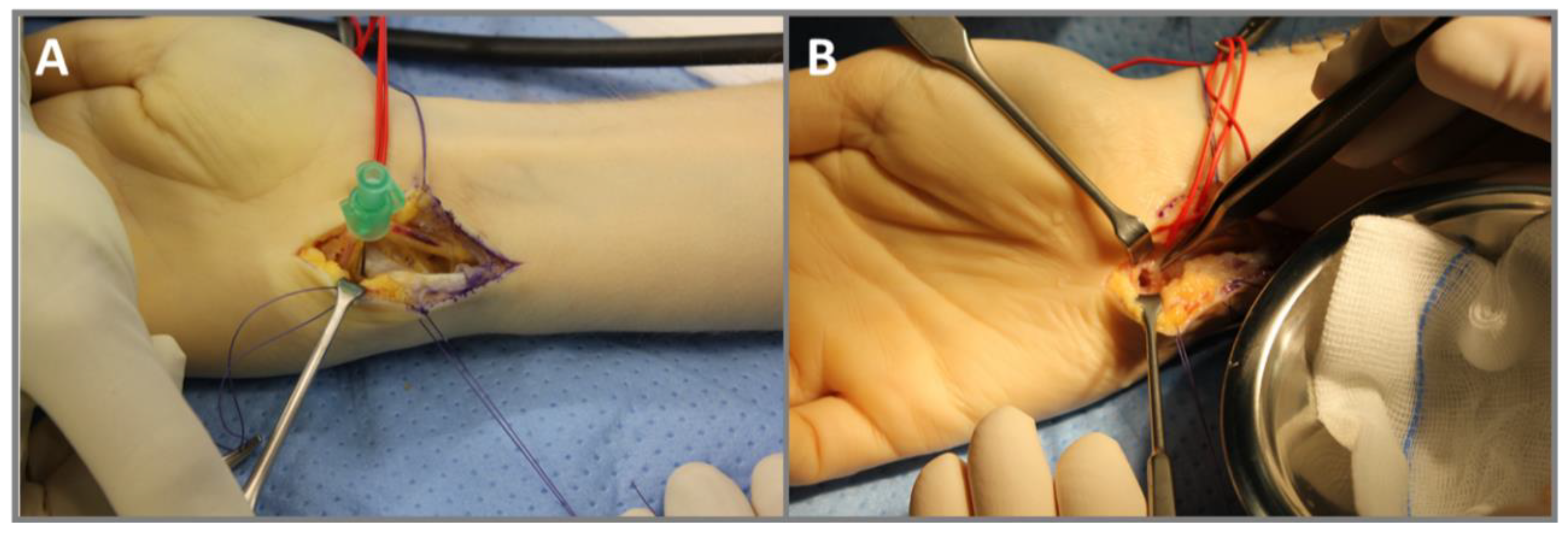 Diagnostics 13 01279 g003