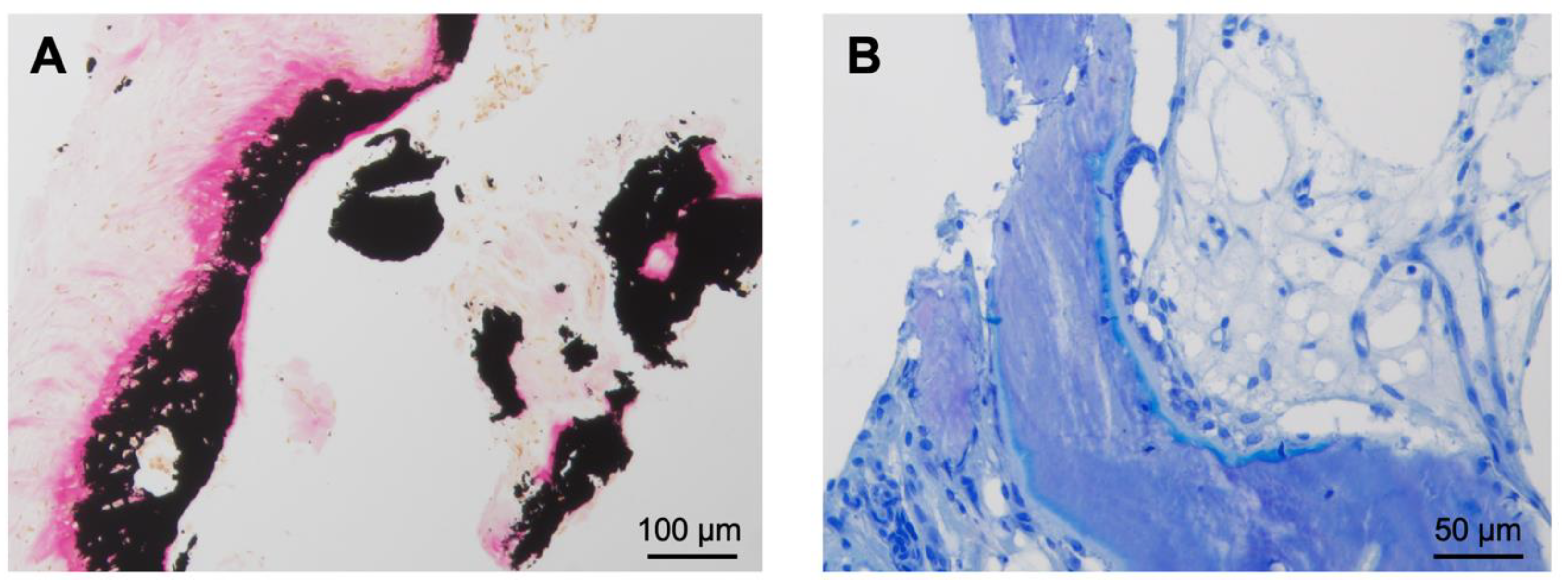 Diagnostics 13 01279 g004