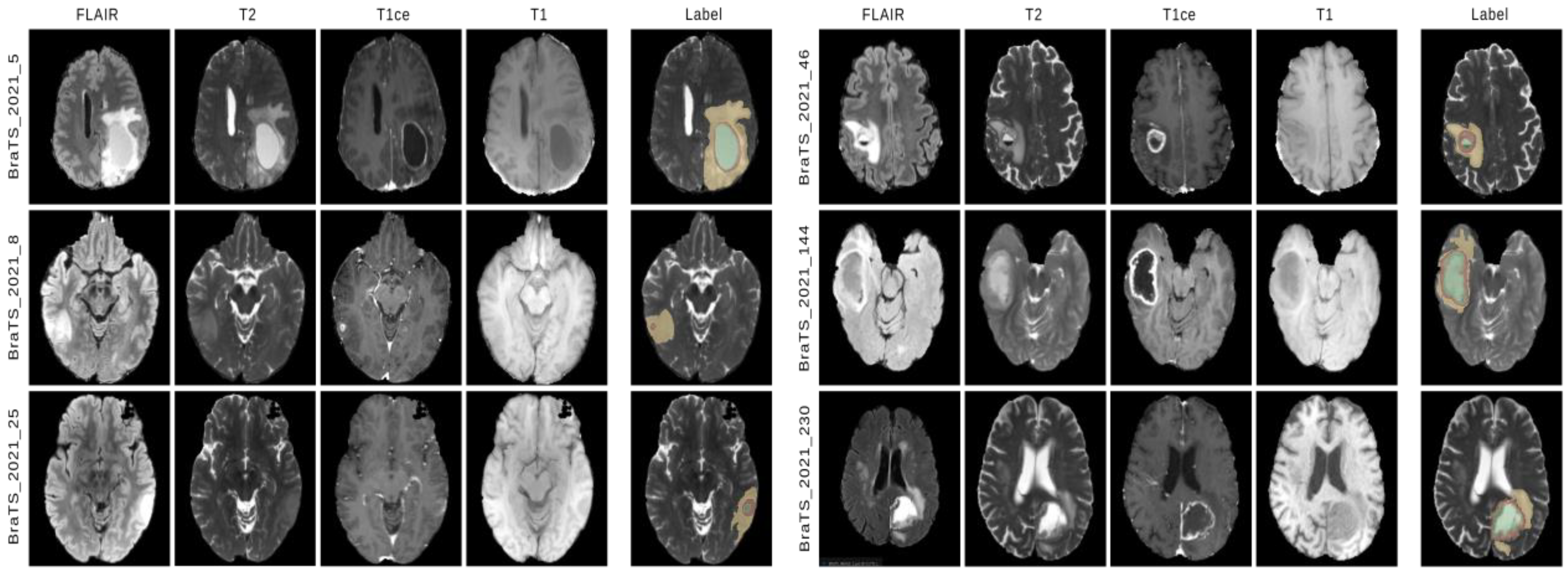 Diagnostics 13 01282 g002