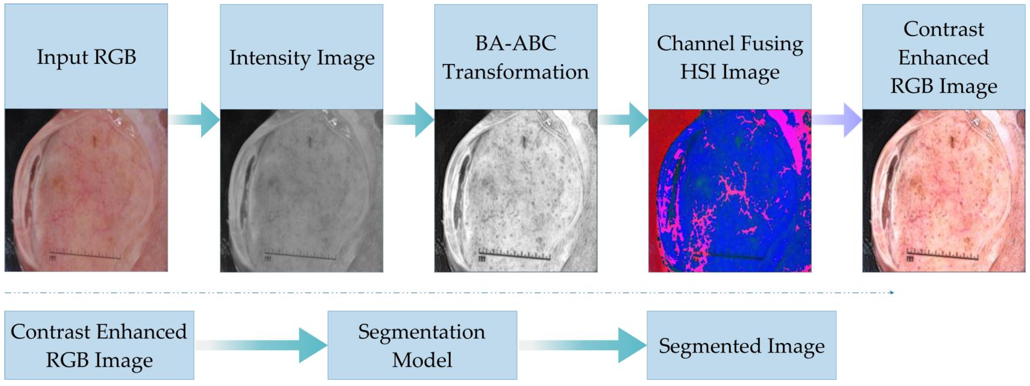 Diagnostics 13 01285 g002