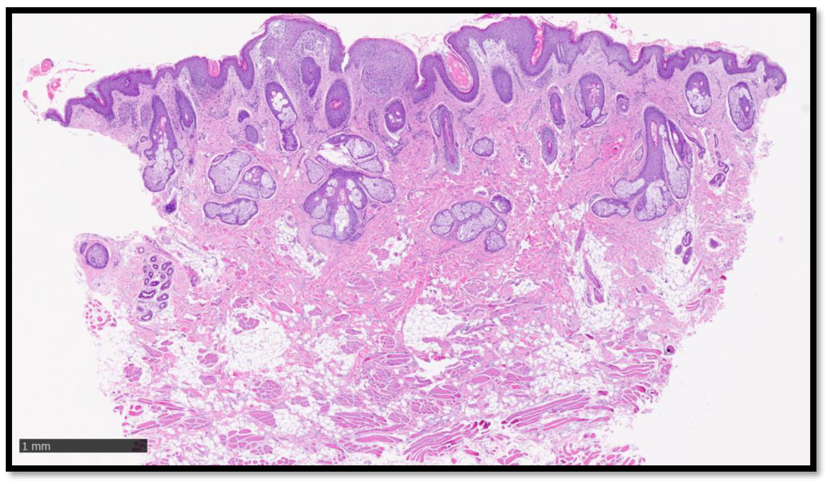 Diagnostics 13 01286 g002
